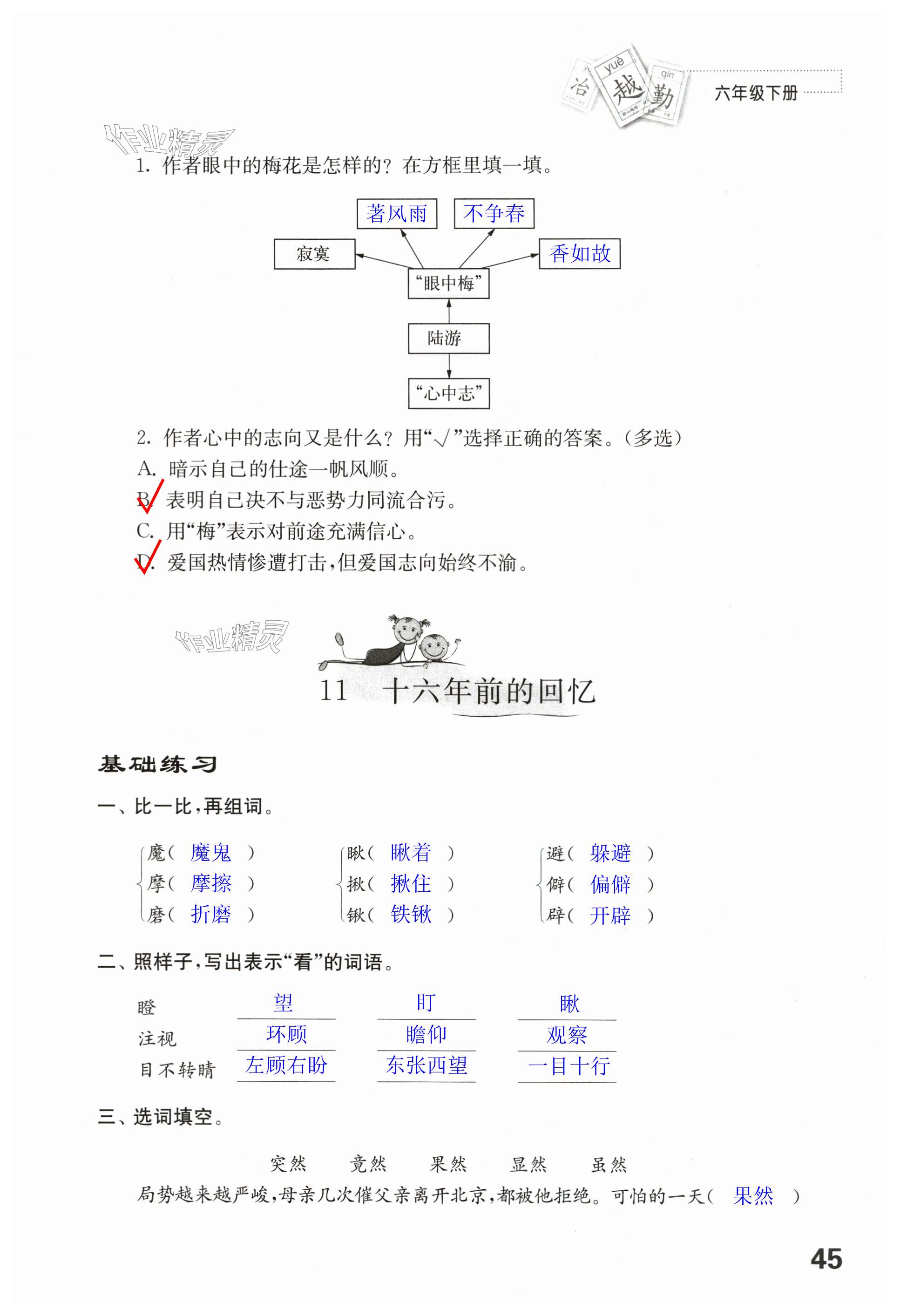 第45页