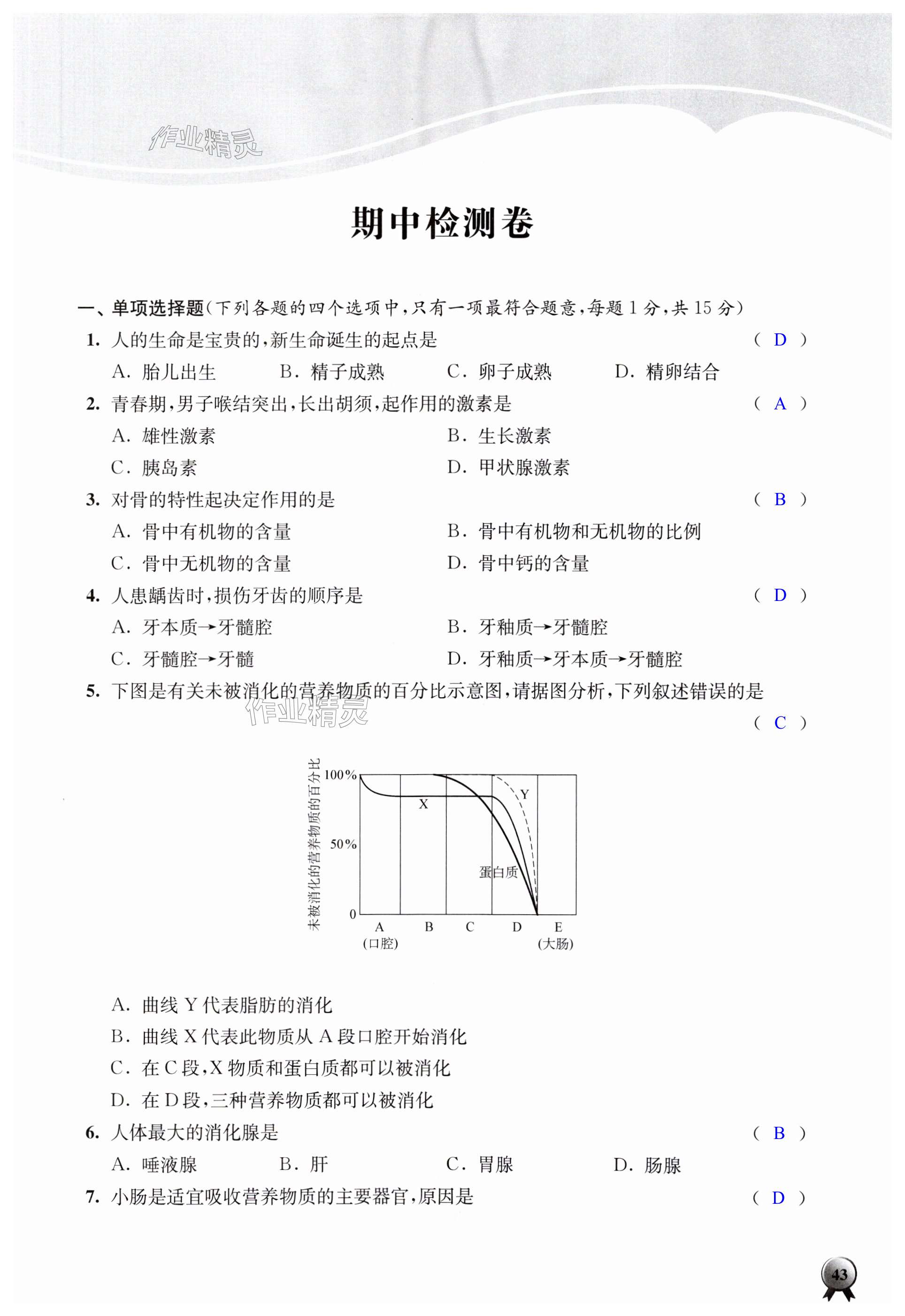 第43頁