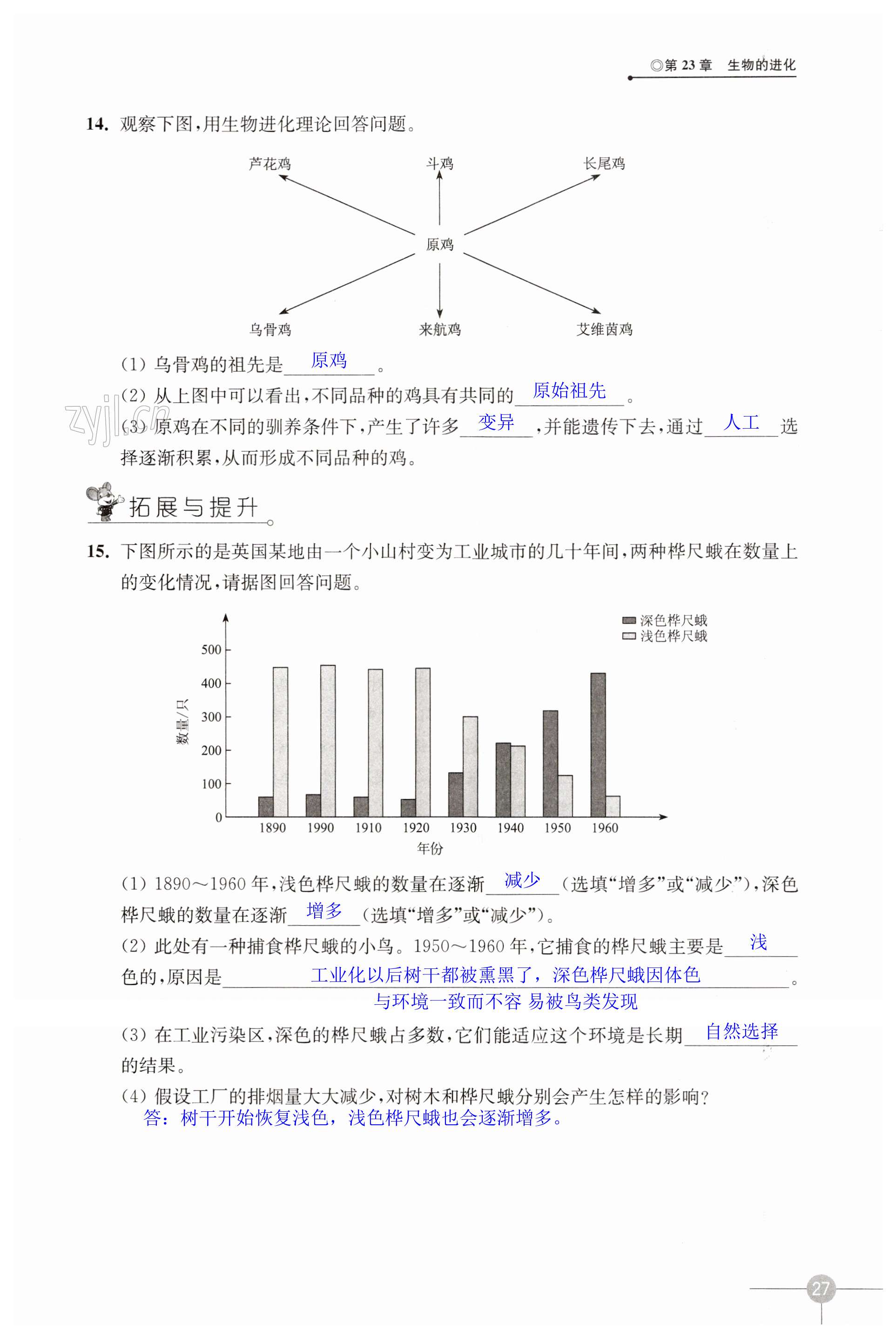 第27頁