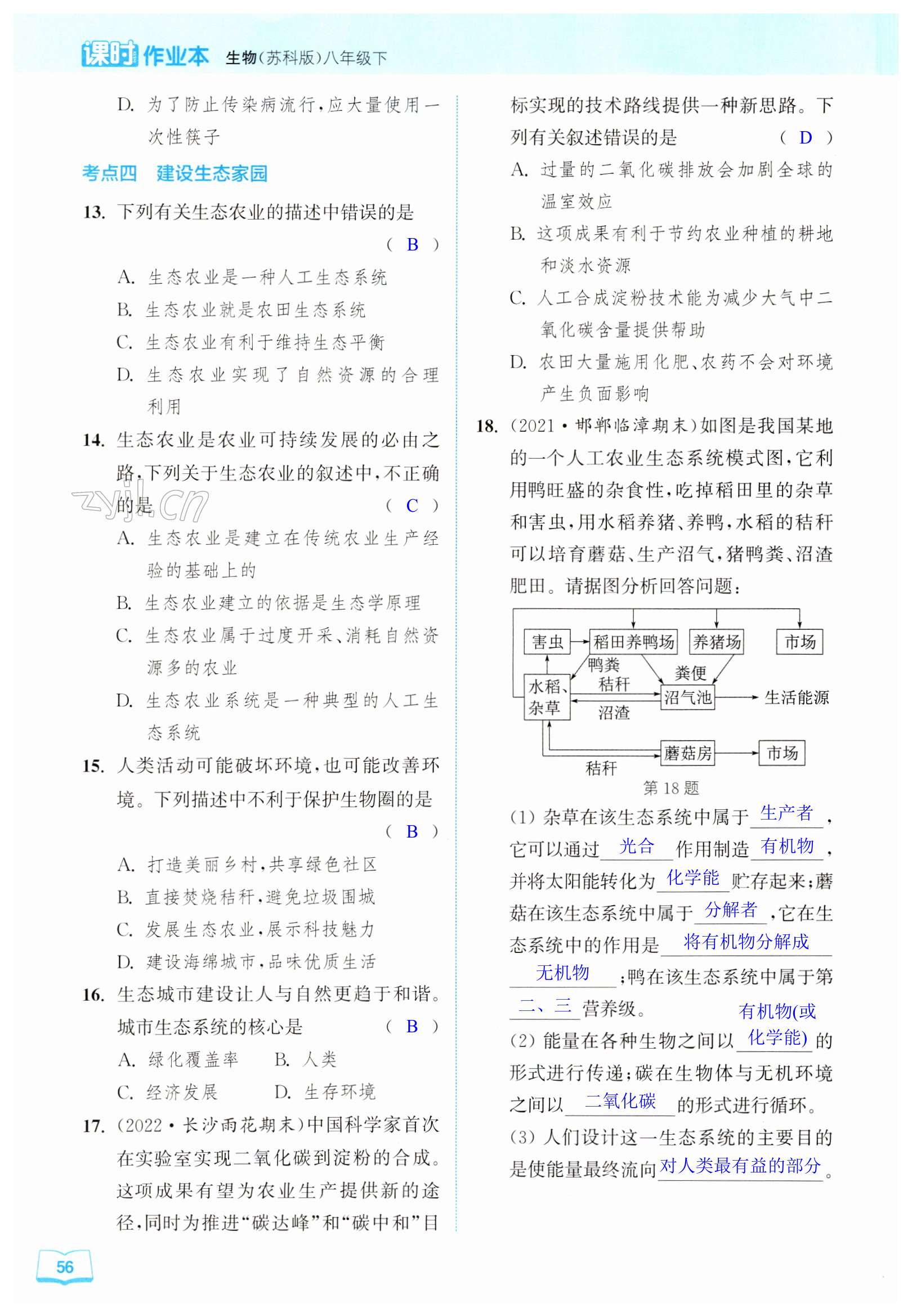 第56頁