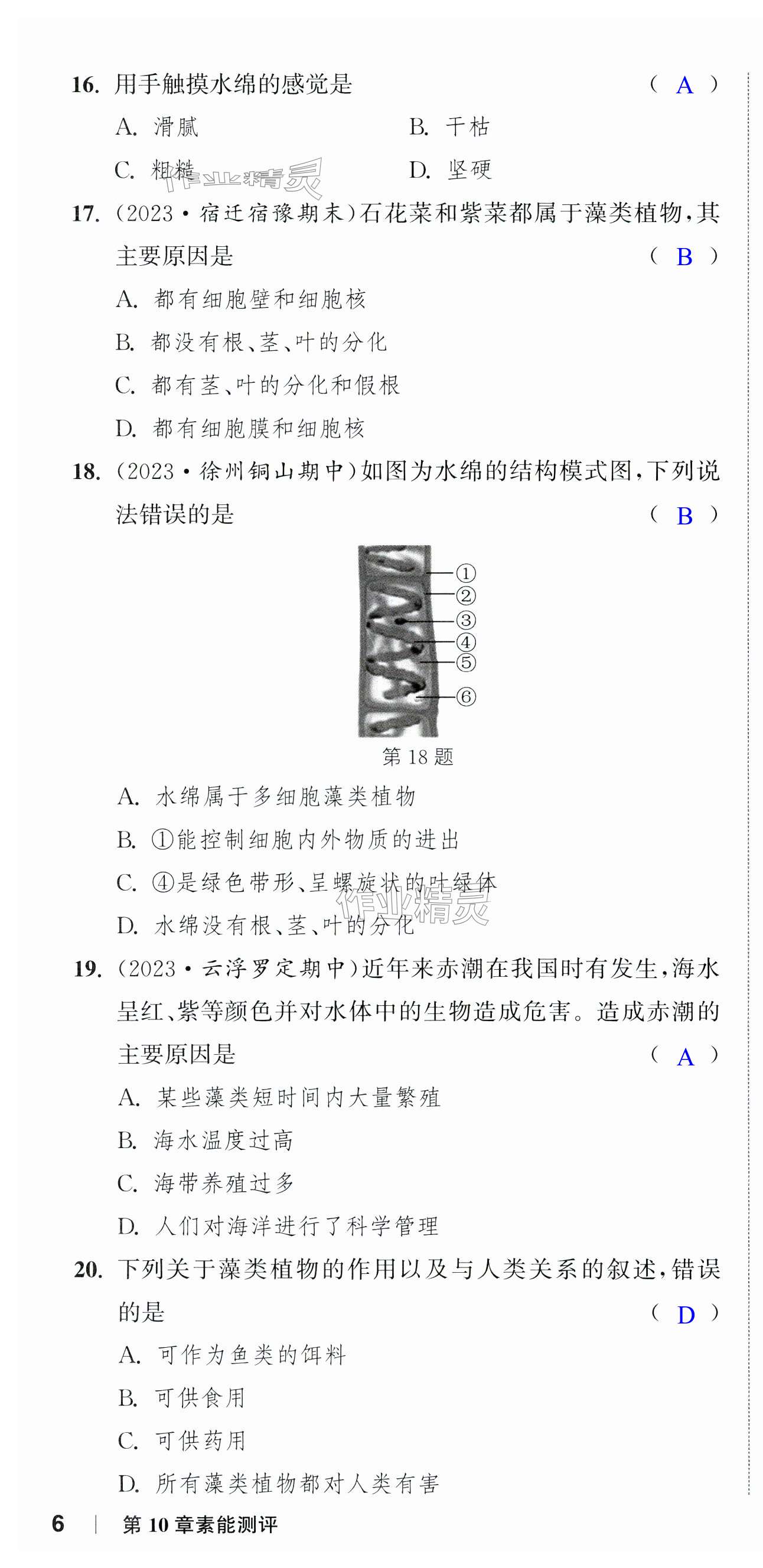 第16頁(yè)