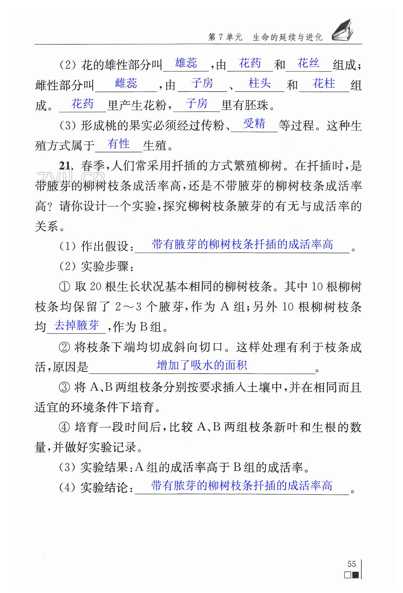第55页