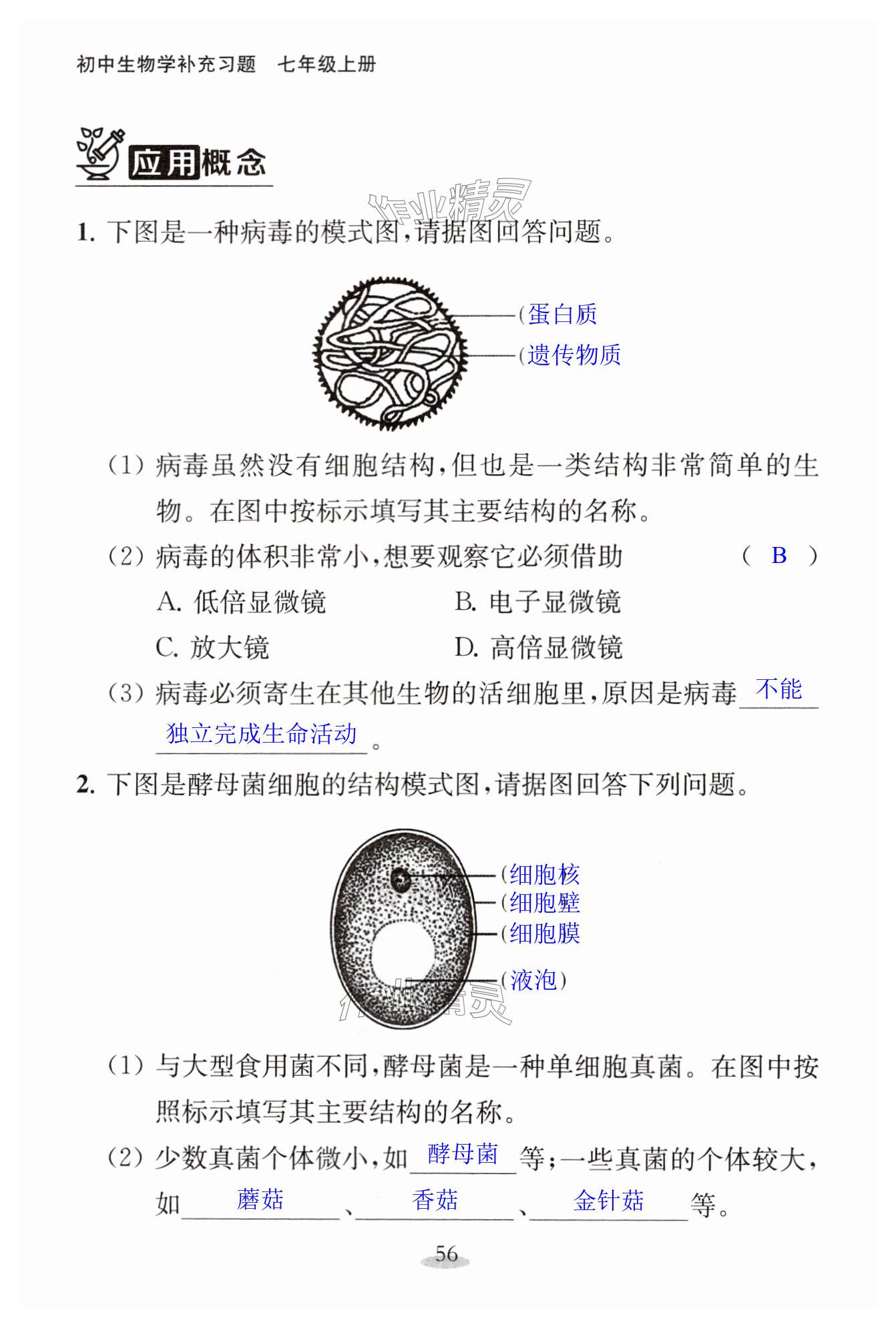 第56頁