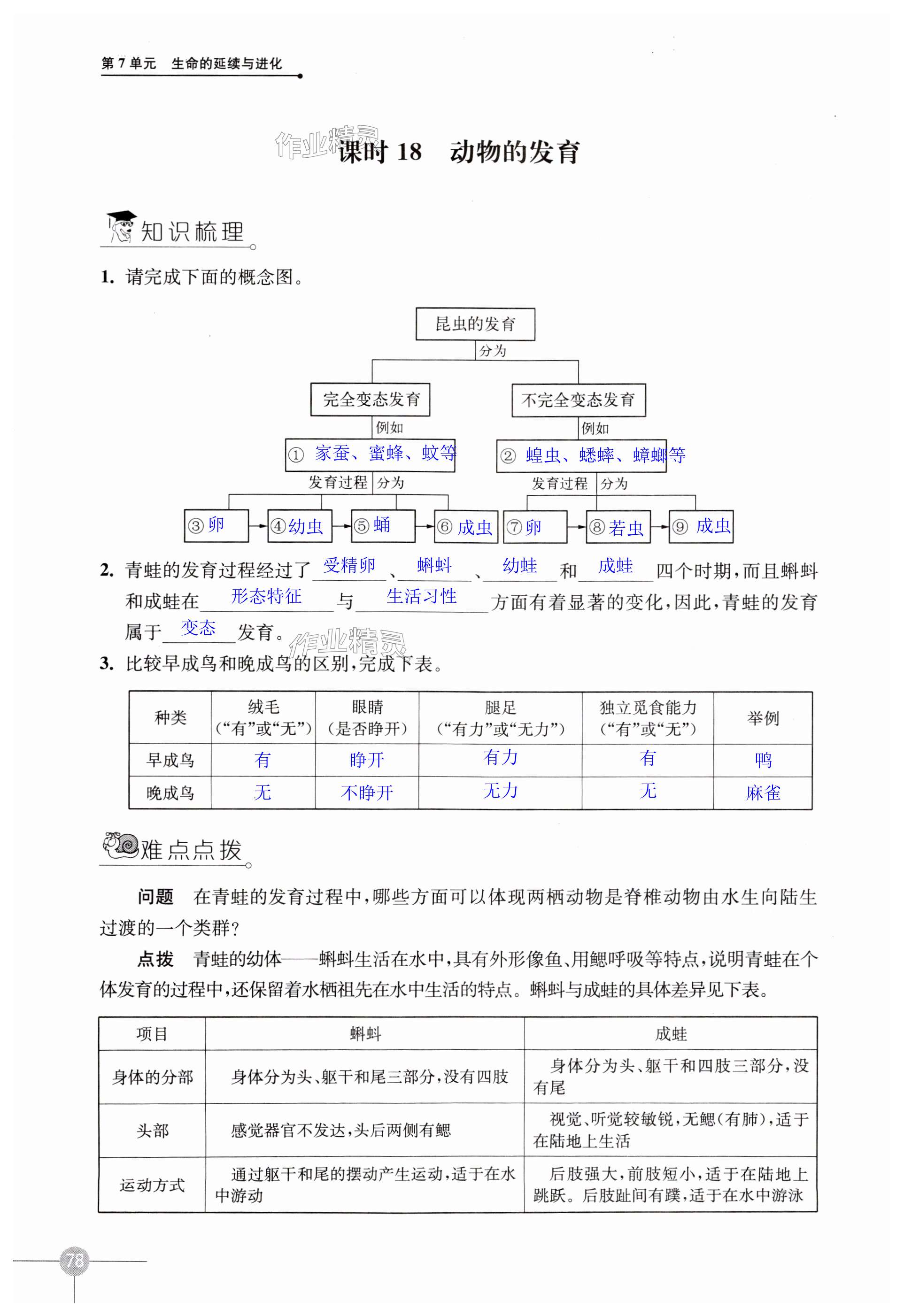 第78頁(yè)