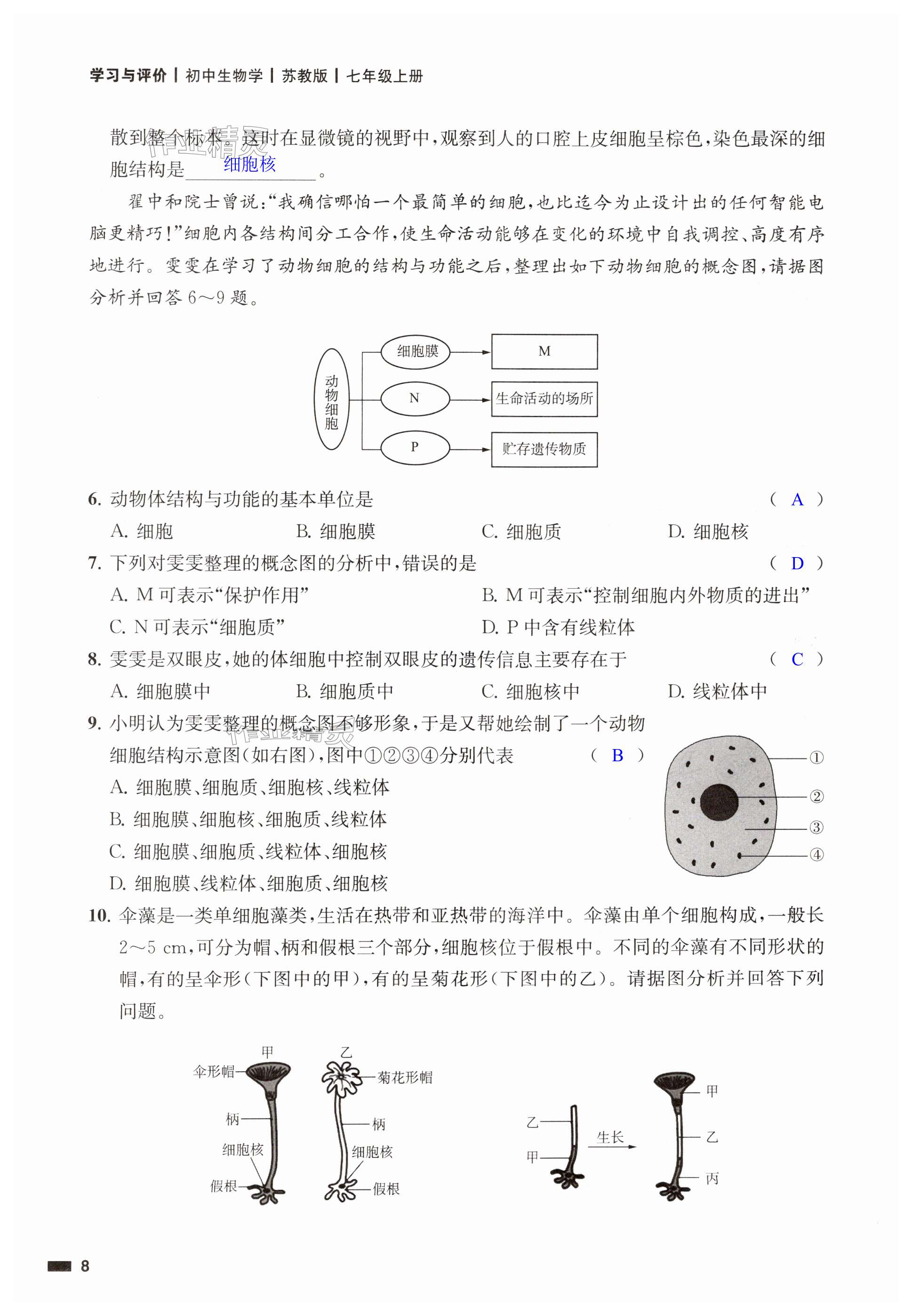 第8頁