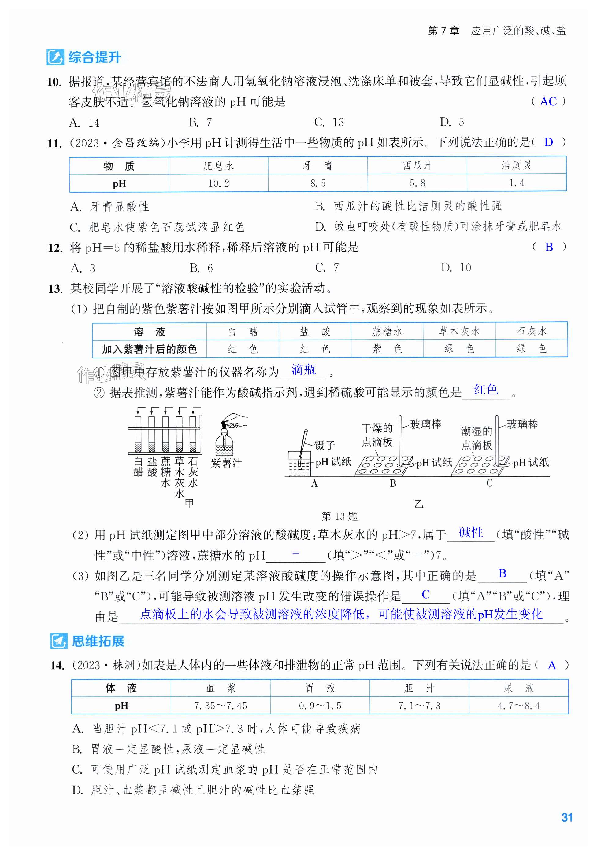 第31页