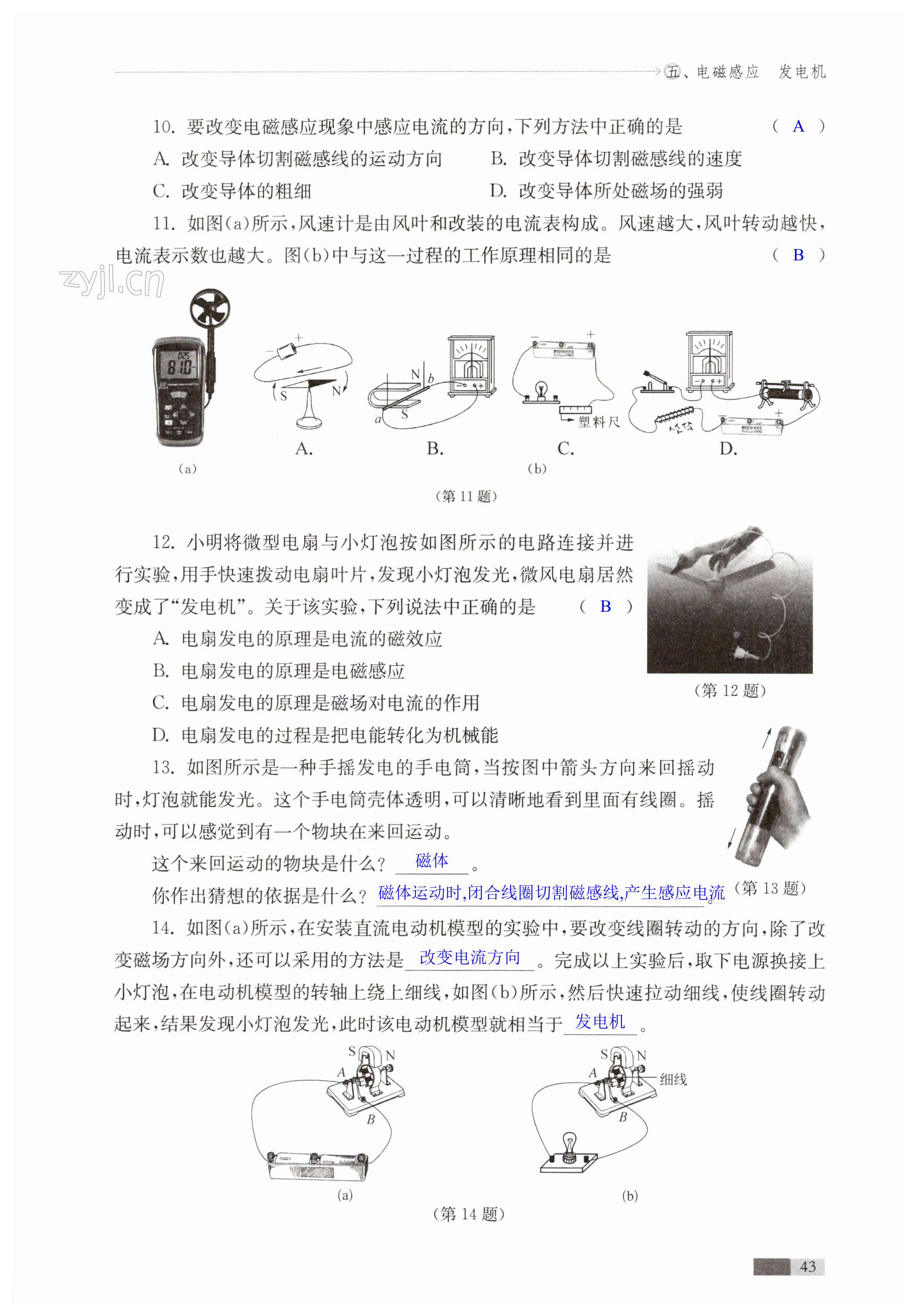 第43页