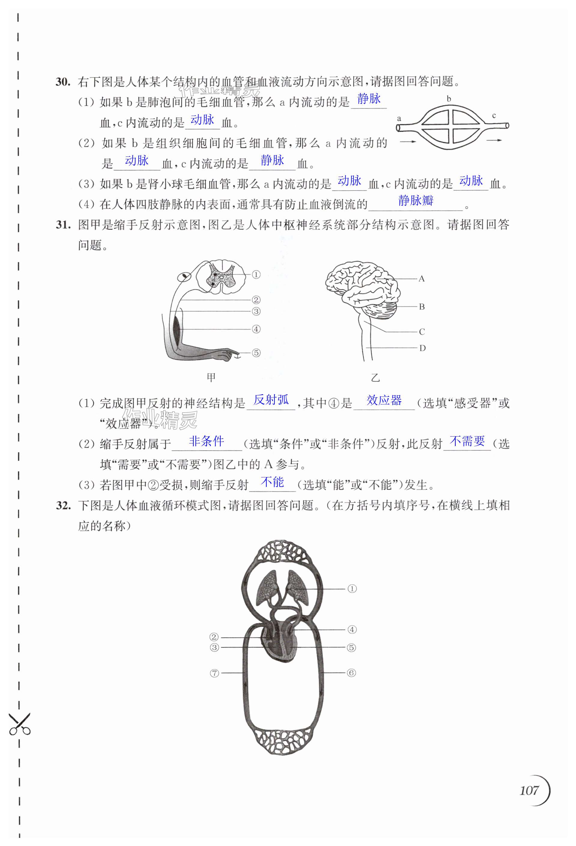 第107頁(yè)