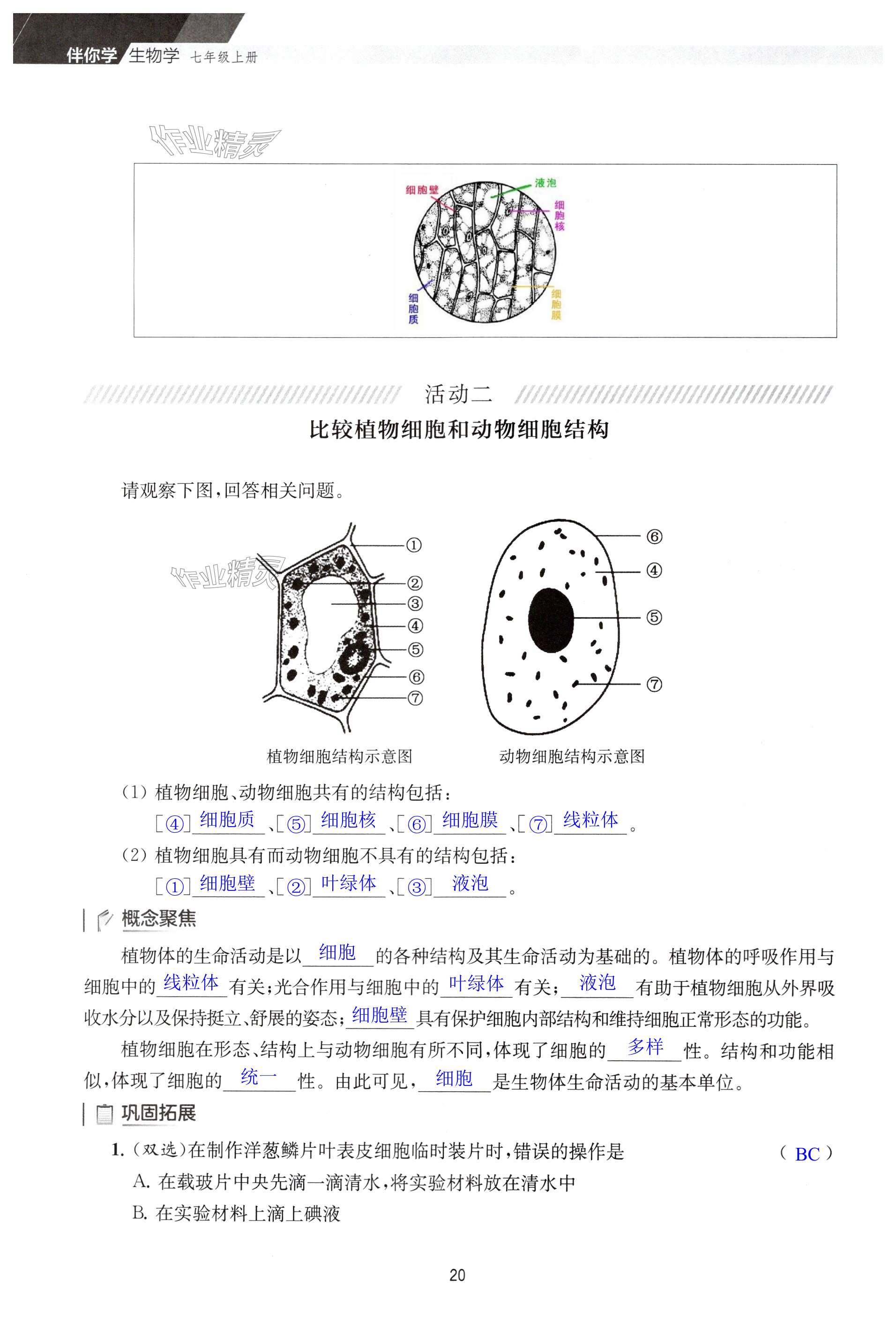 第20頁(yè)