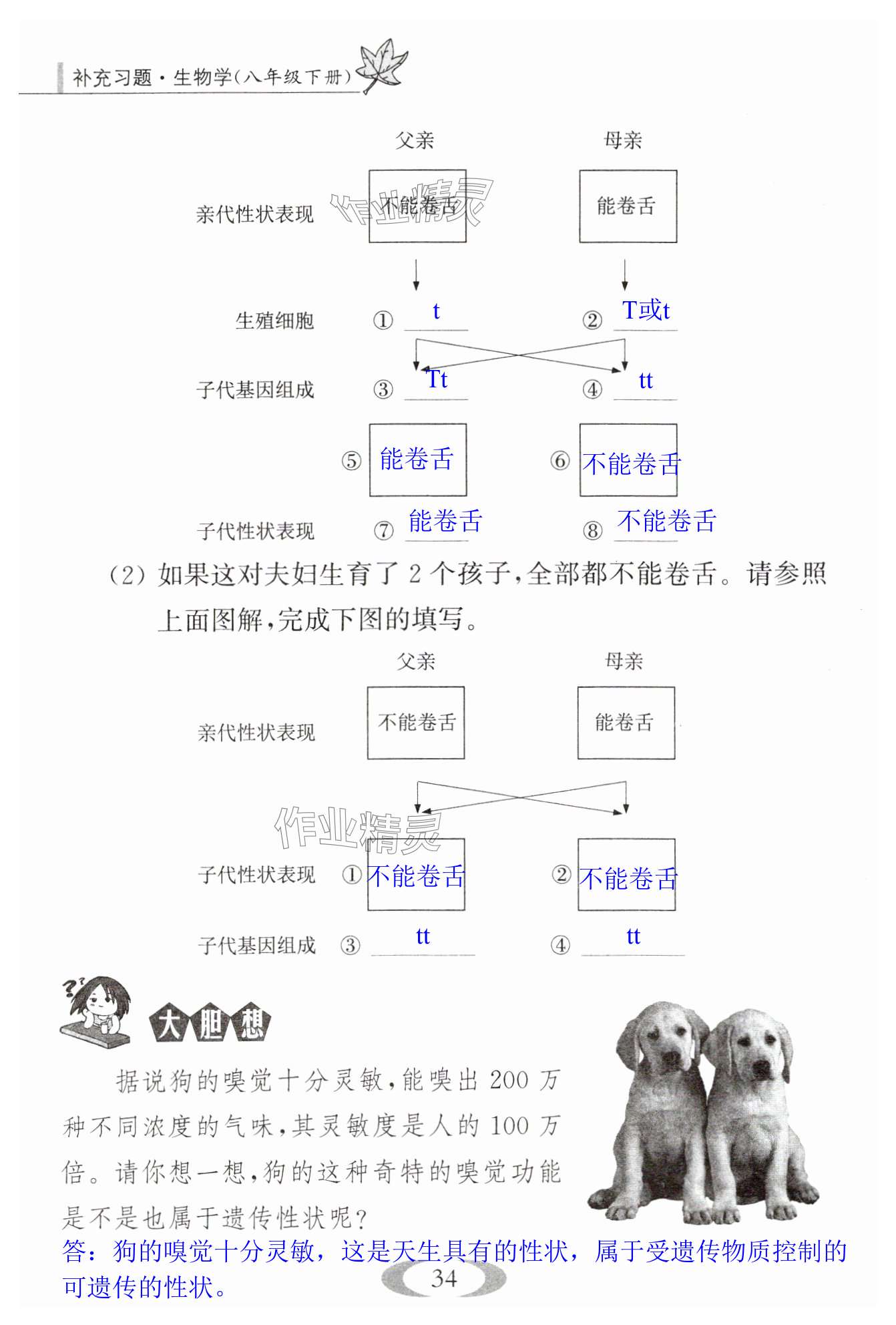 第34頁