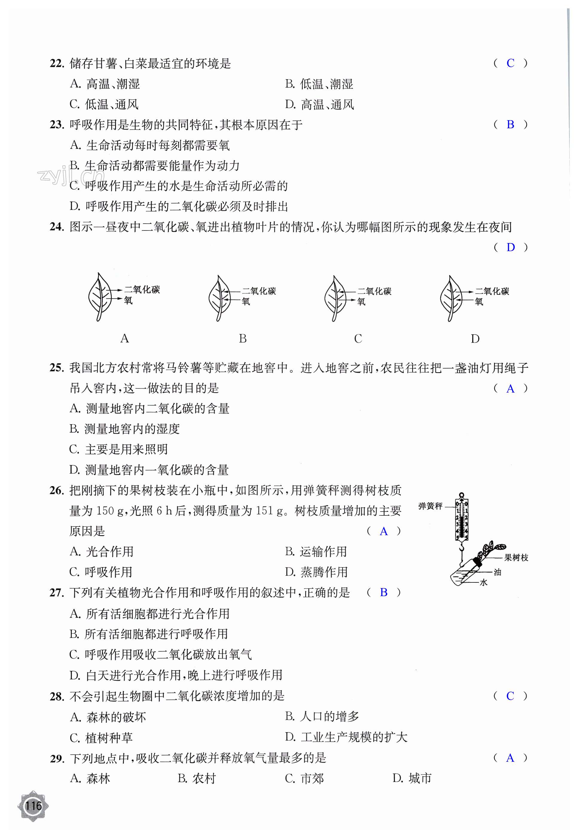 第116页