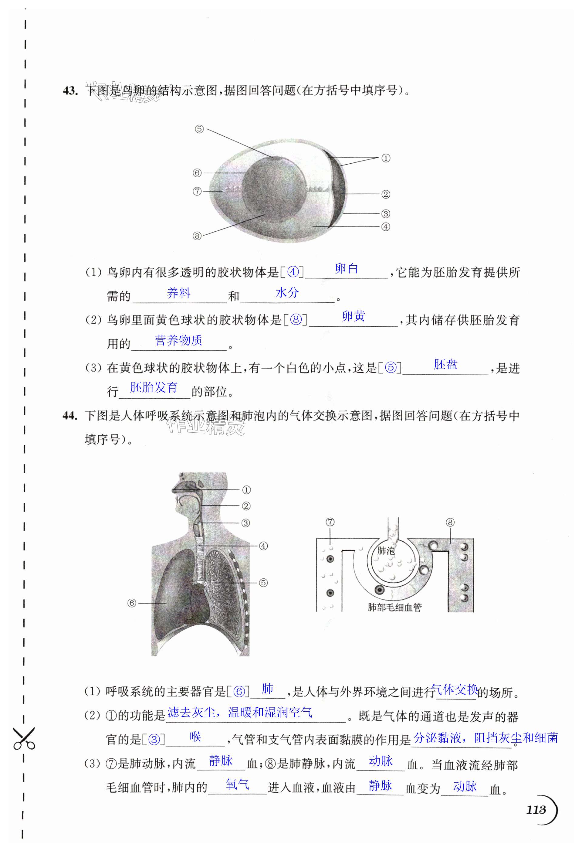 第113頁