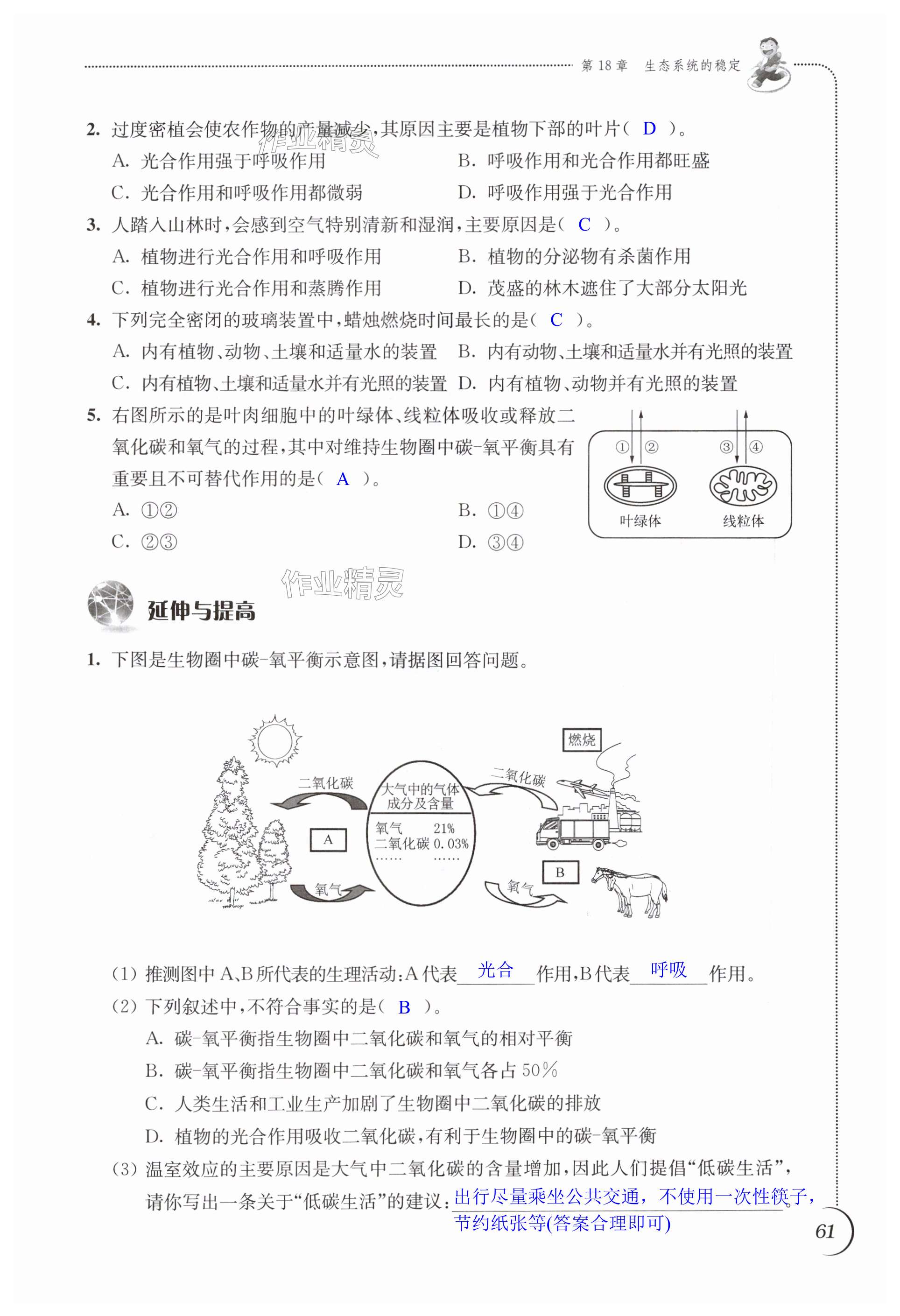 第61頁