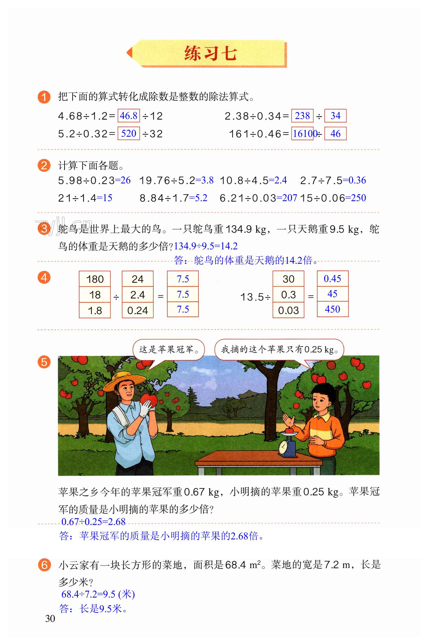 第30頁(yè)