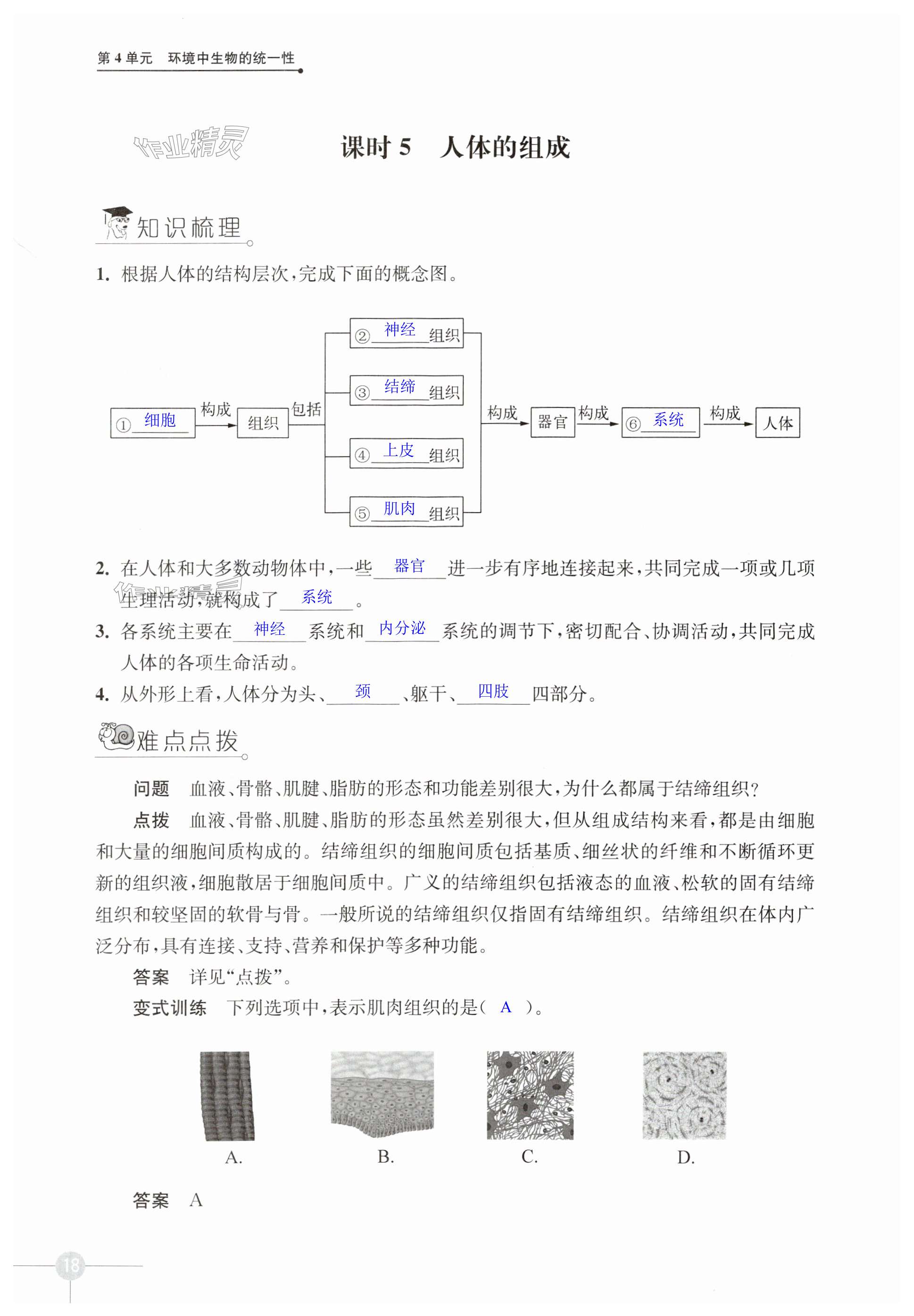 第18頁