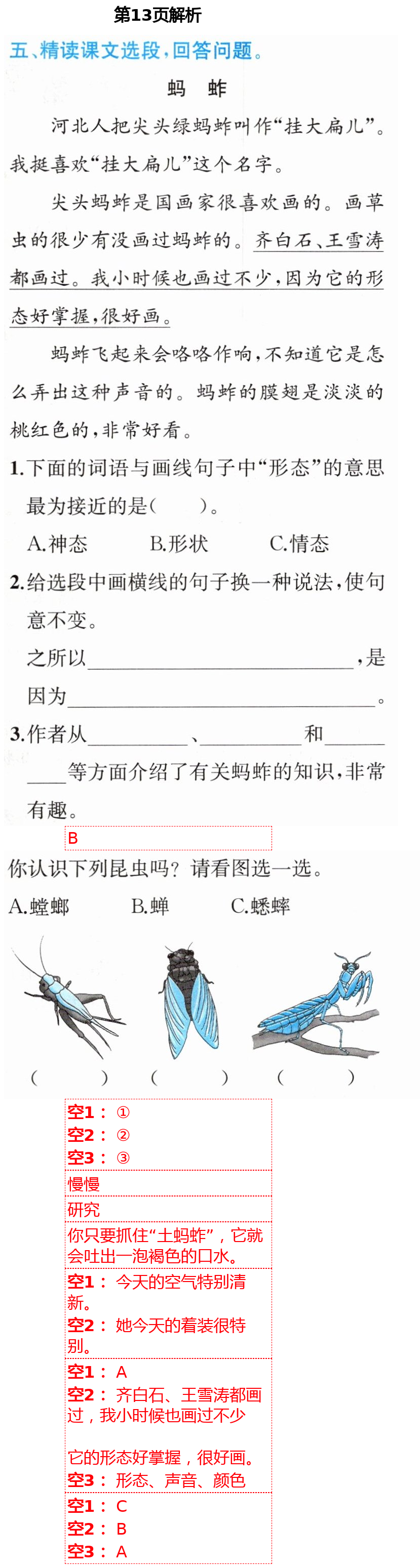 2021年人教金學典同步解析與測評三年級語文下冊人教版云南專版 第13頁