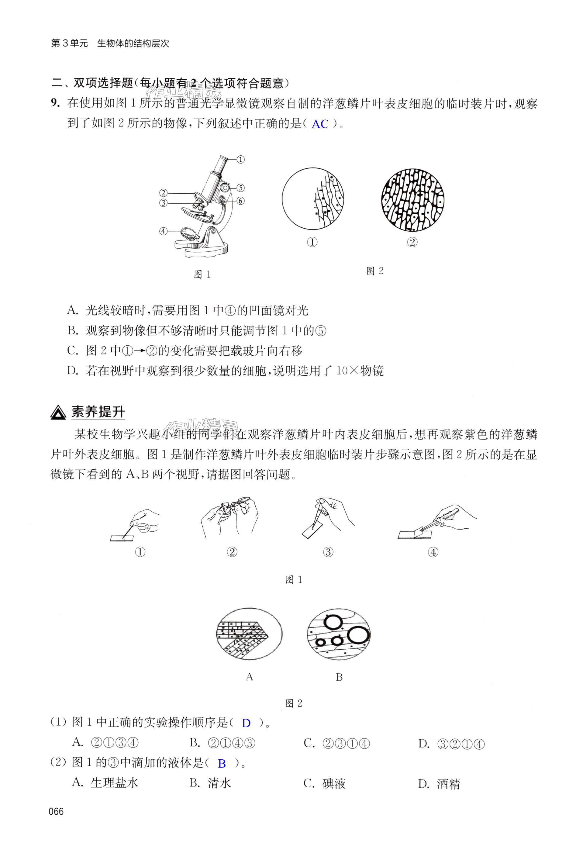 第66頁(yè)