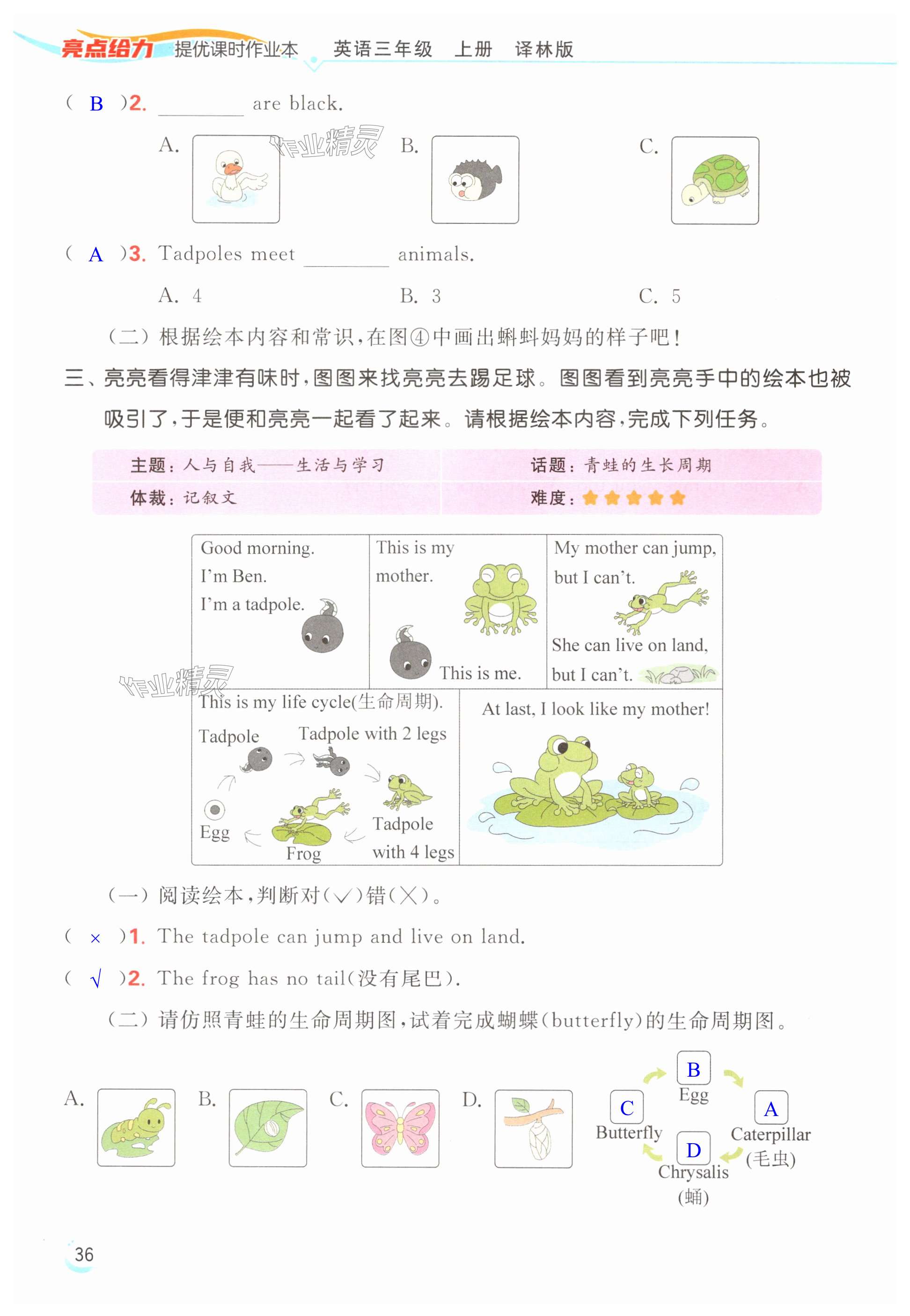 第36頁(yè)