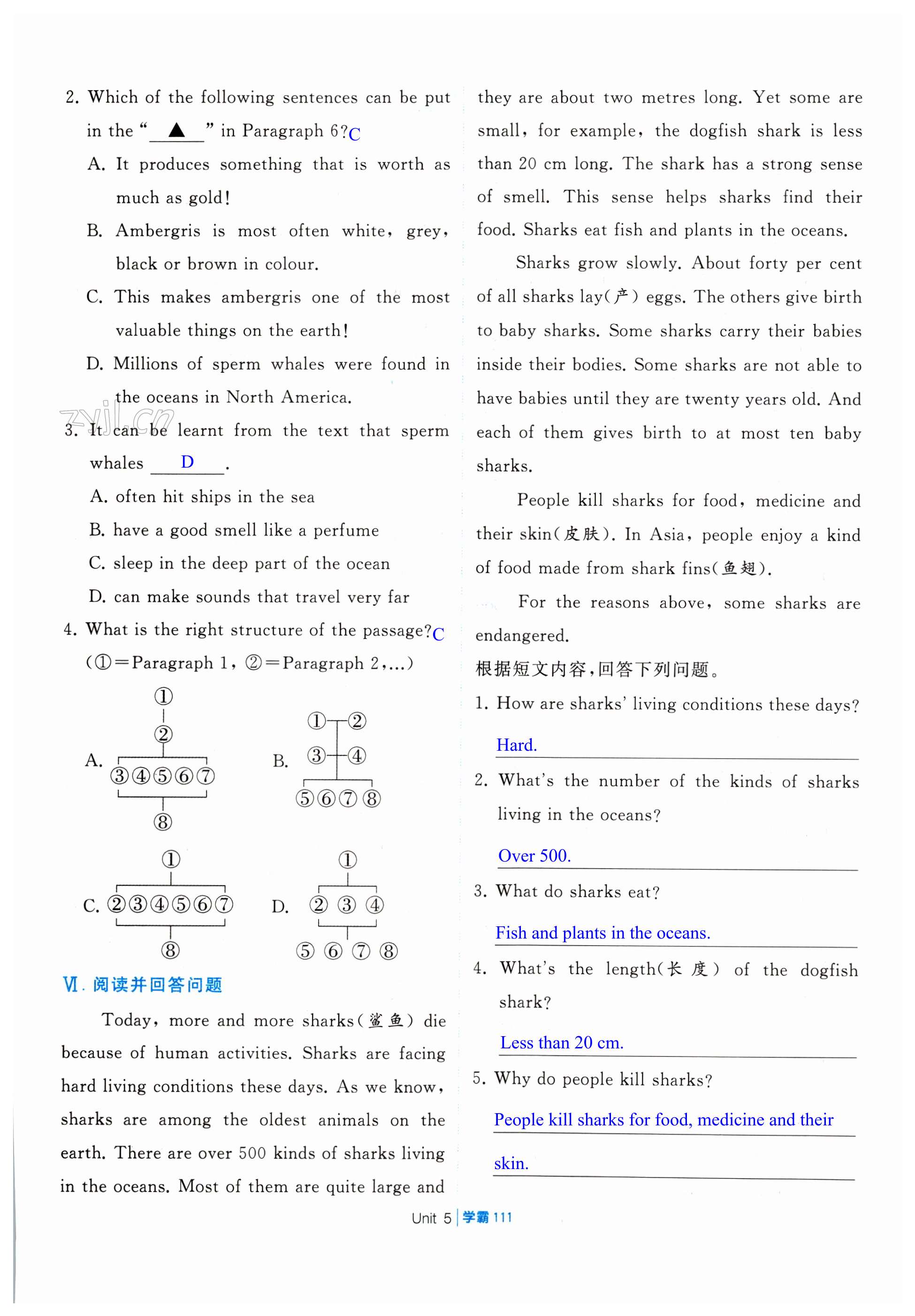 第111頁(yè)