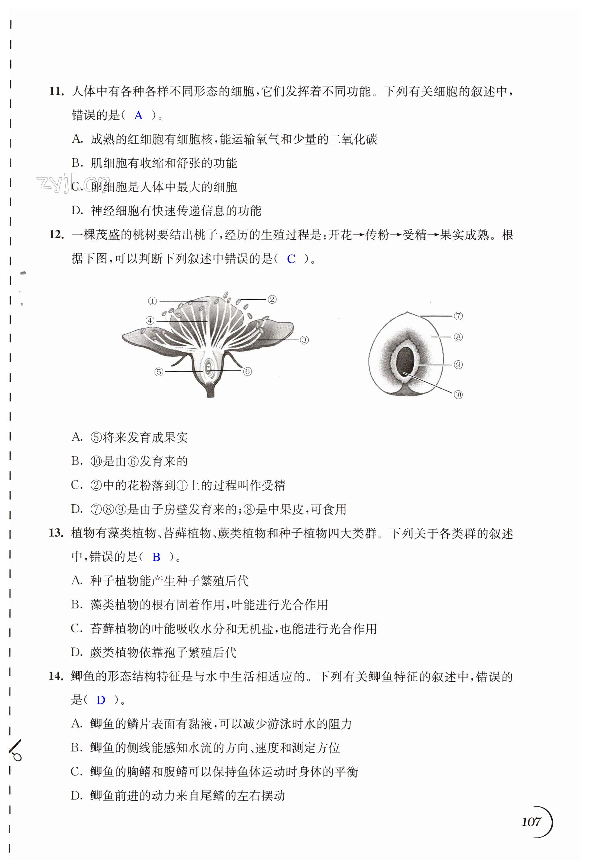 第107頁