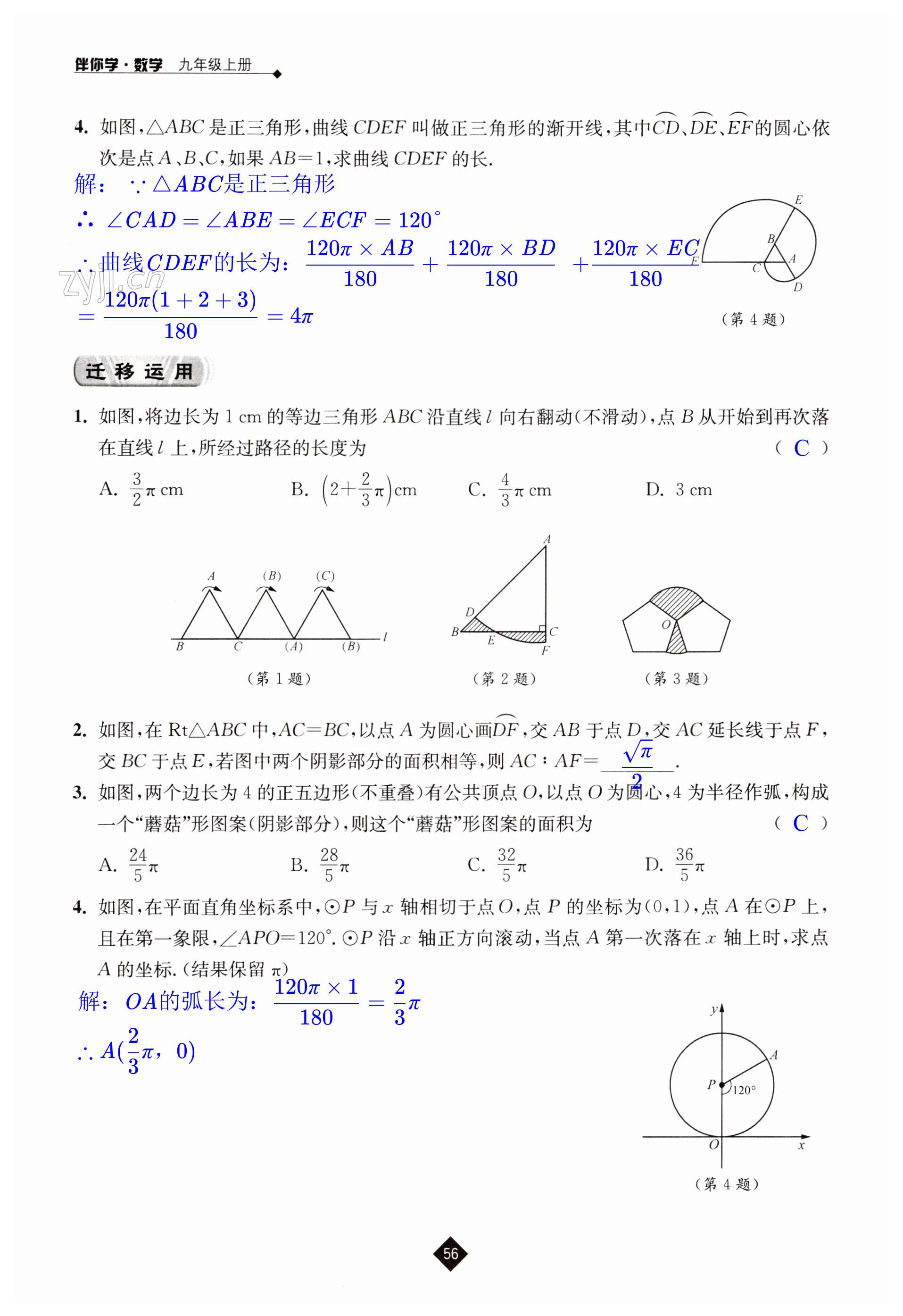 第56頁