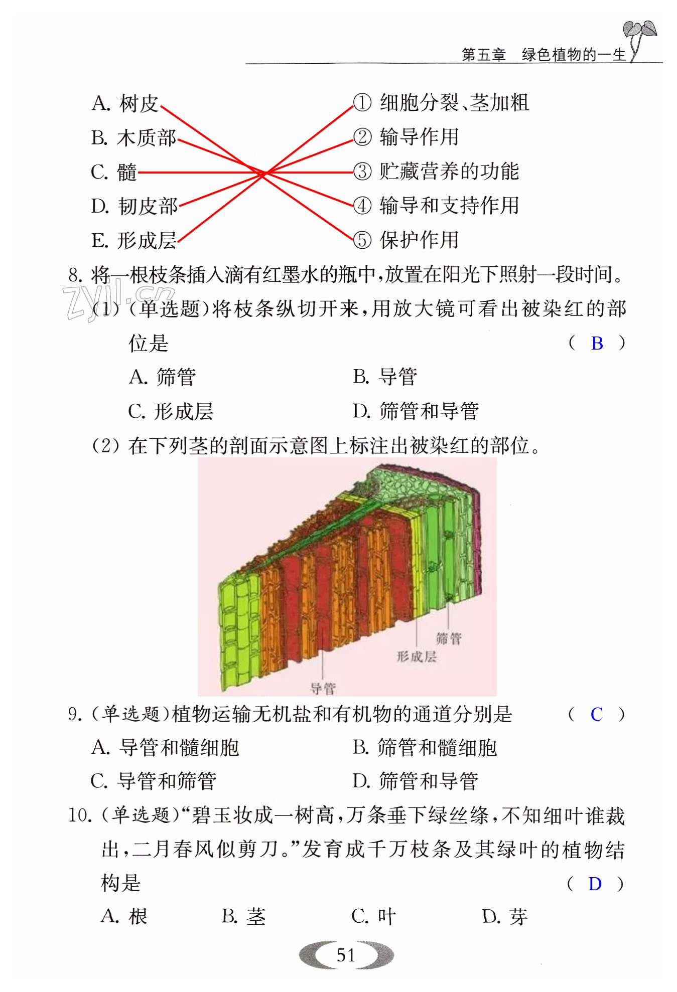 第51頁