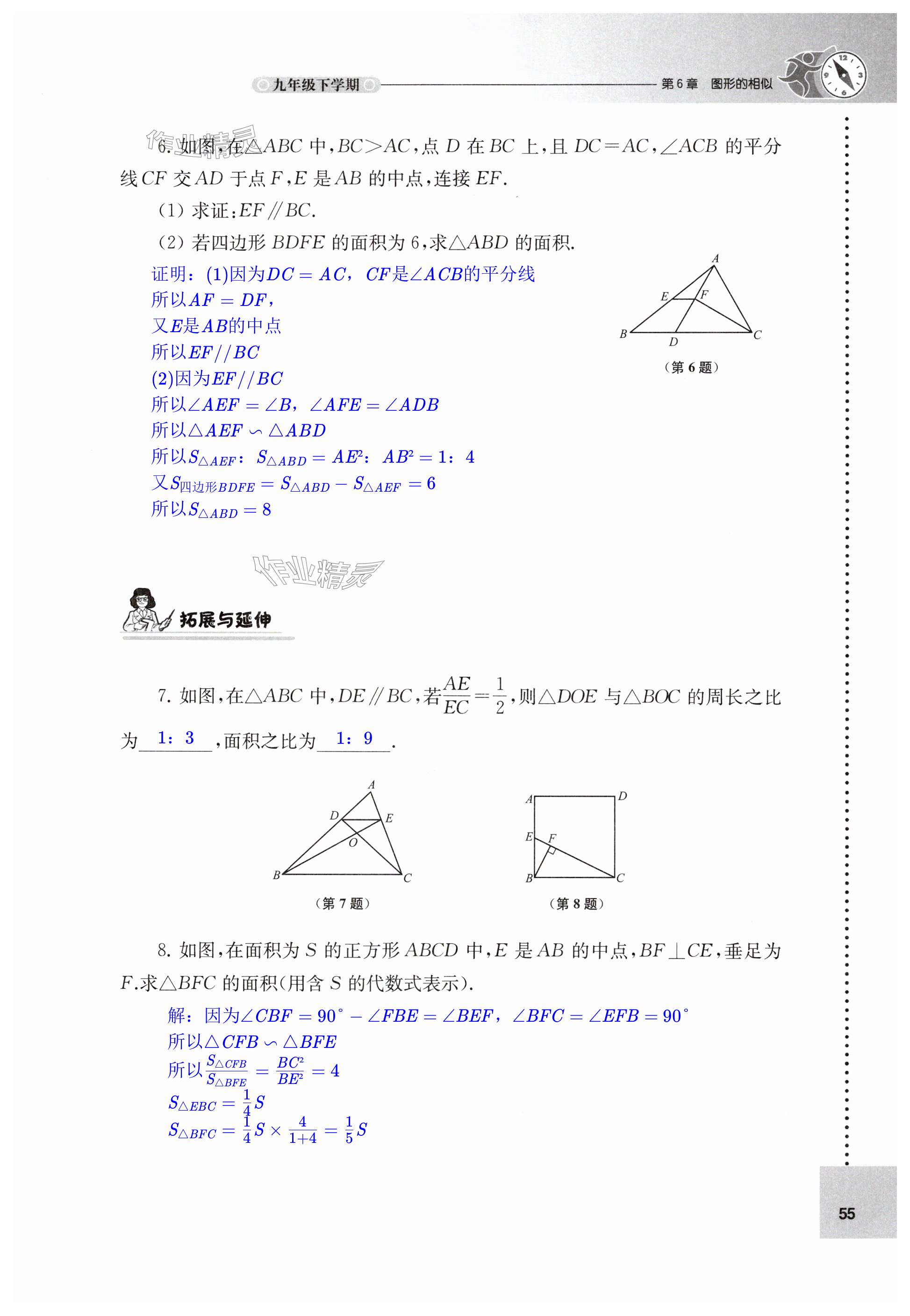 第55页