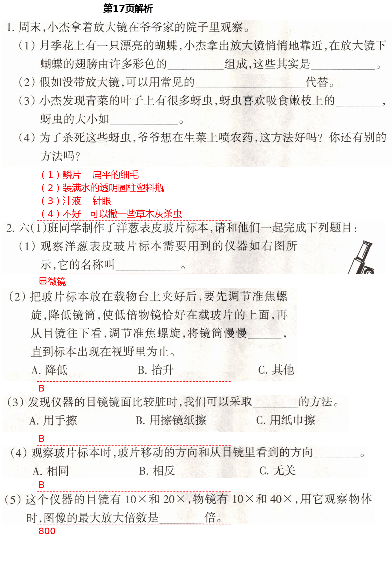 2021年導(dǎo)學(xué)新作業(yè)六年級科學(xué)下冊教科版 第17頁