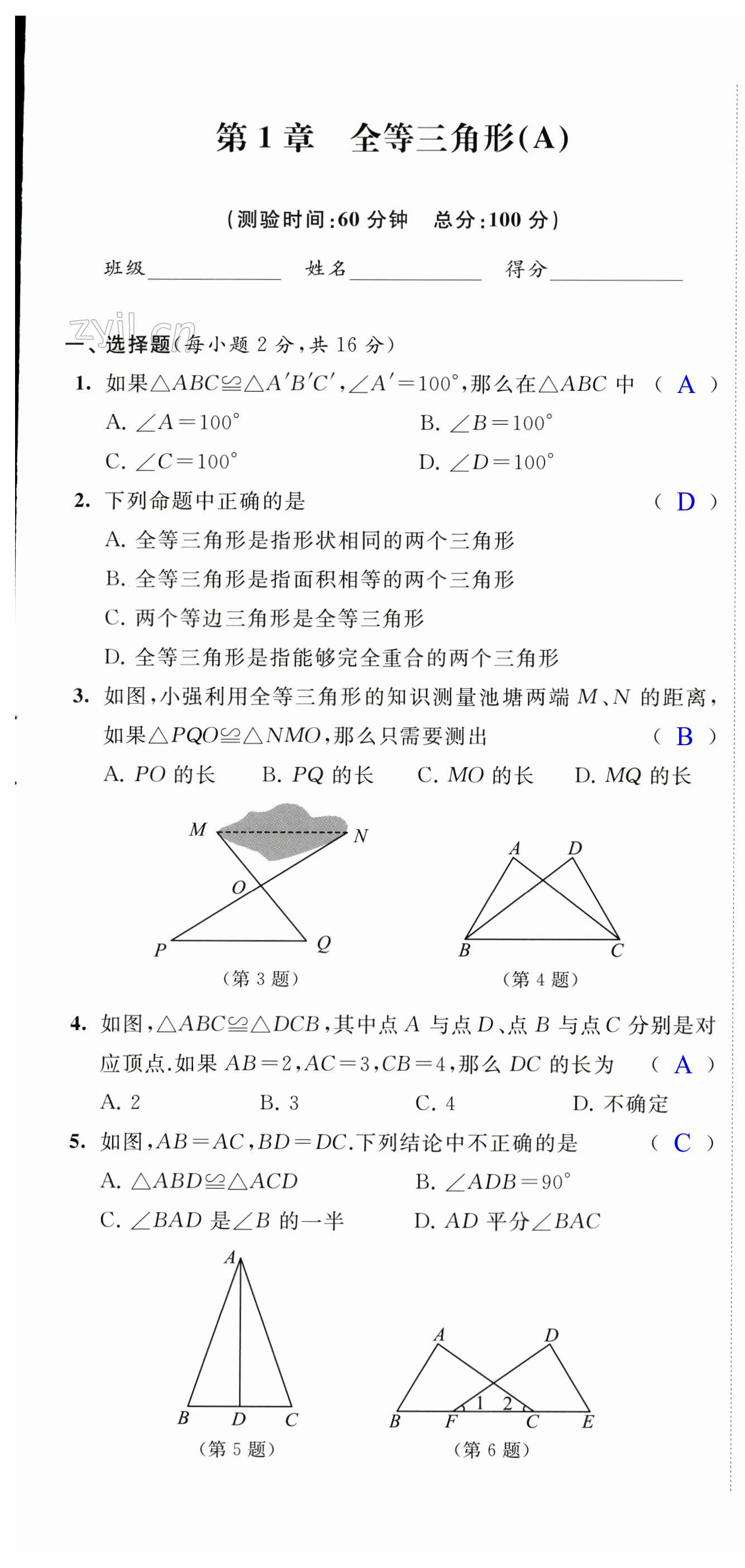 2023年阳光互动绿色成长空间八年级数学上册提优版 第1页