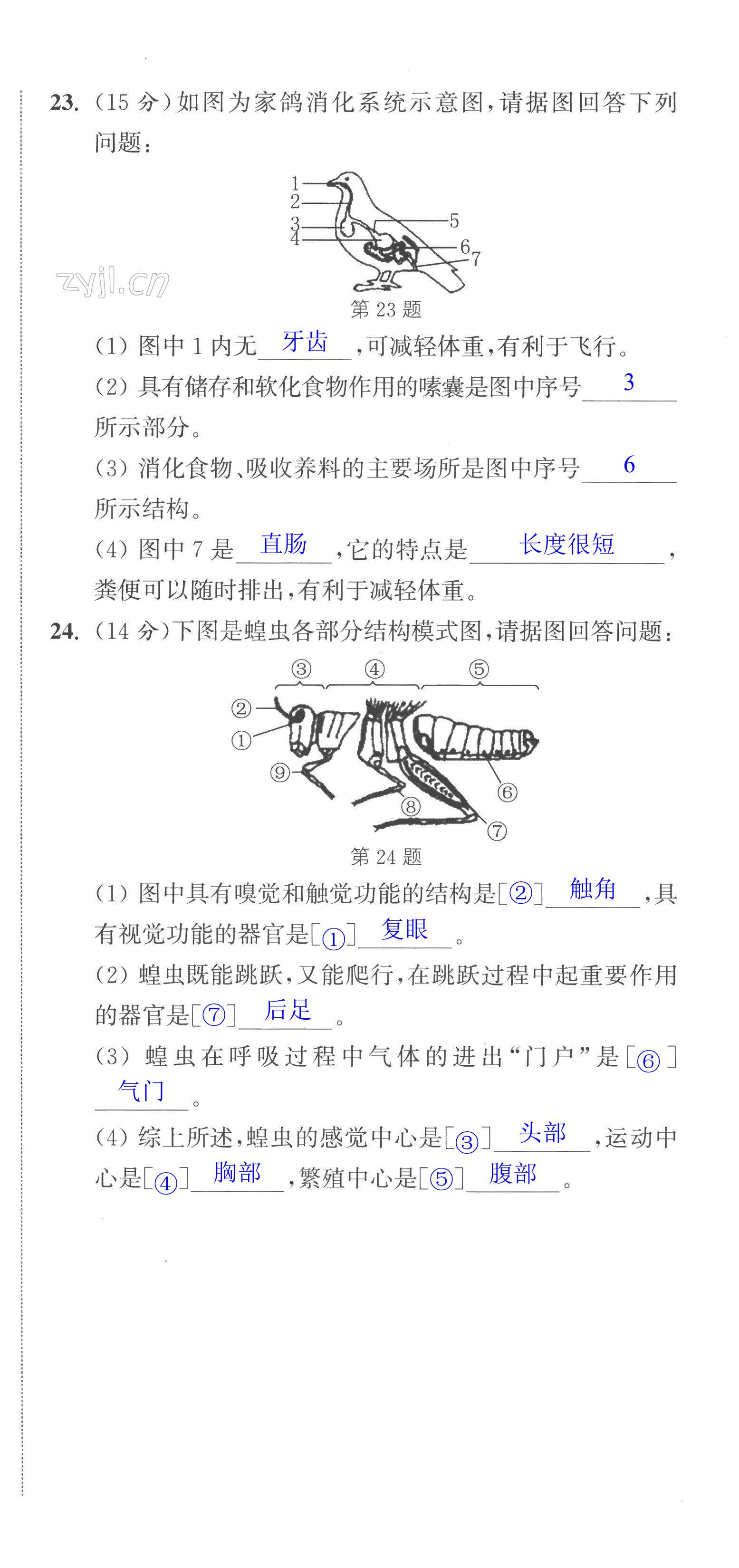 第30页