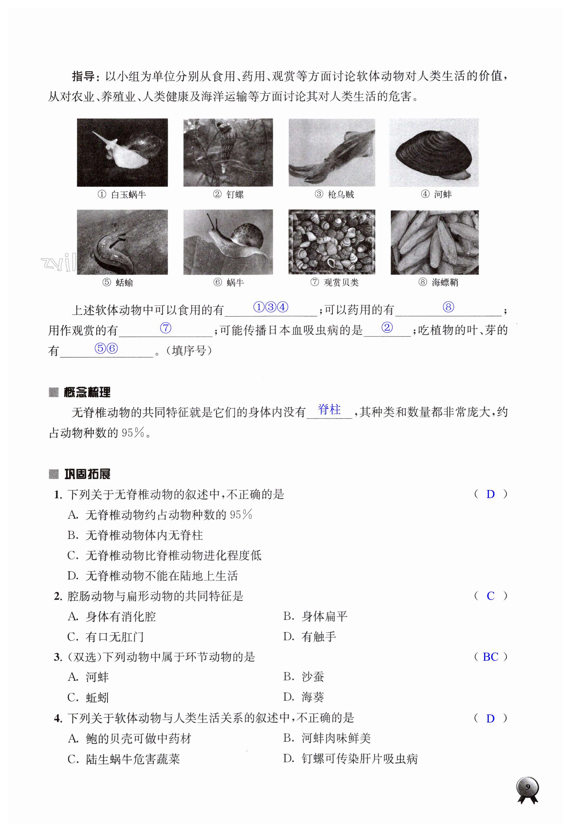 第9页