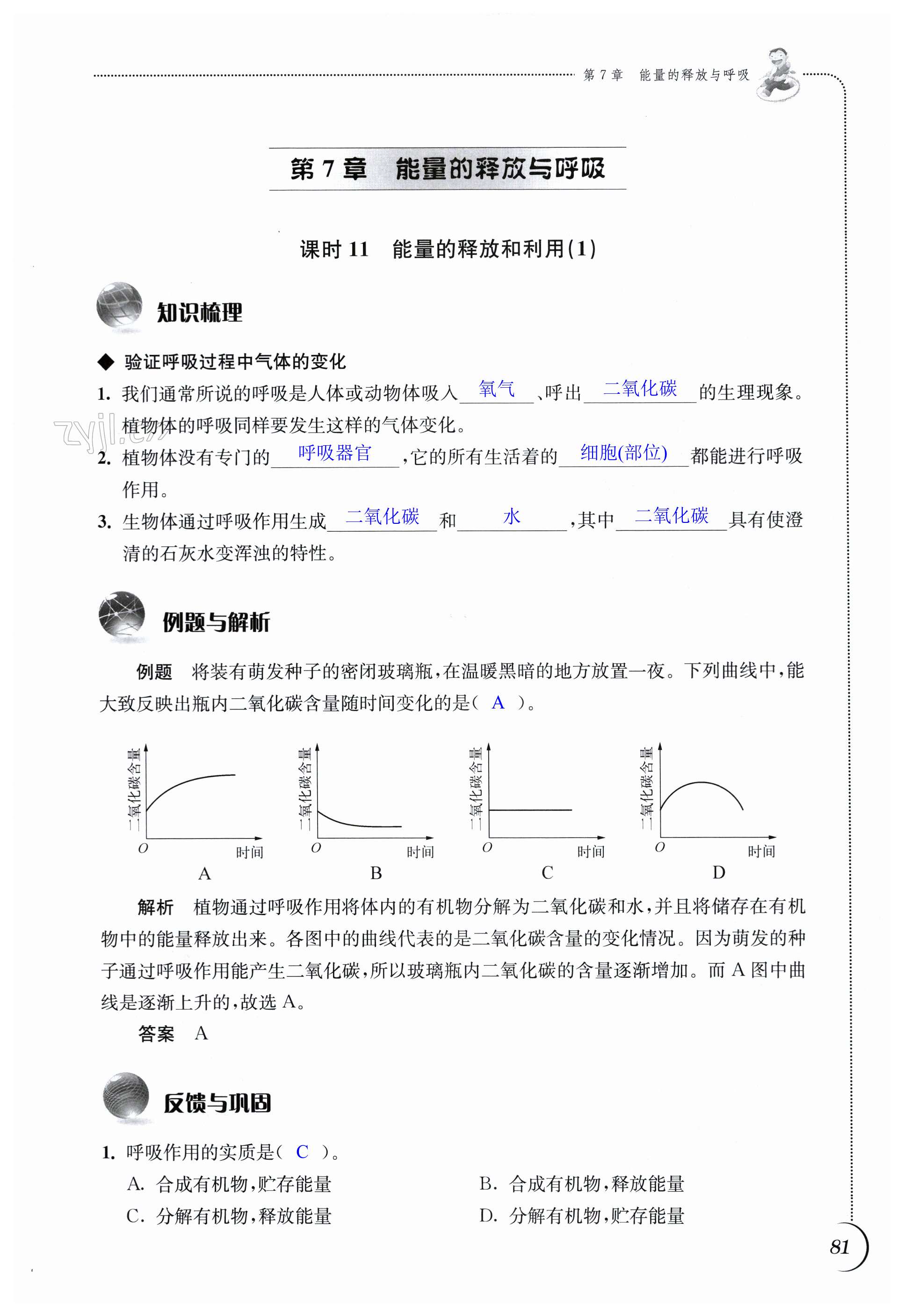 第81頁