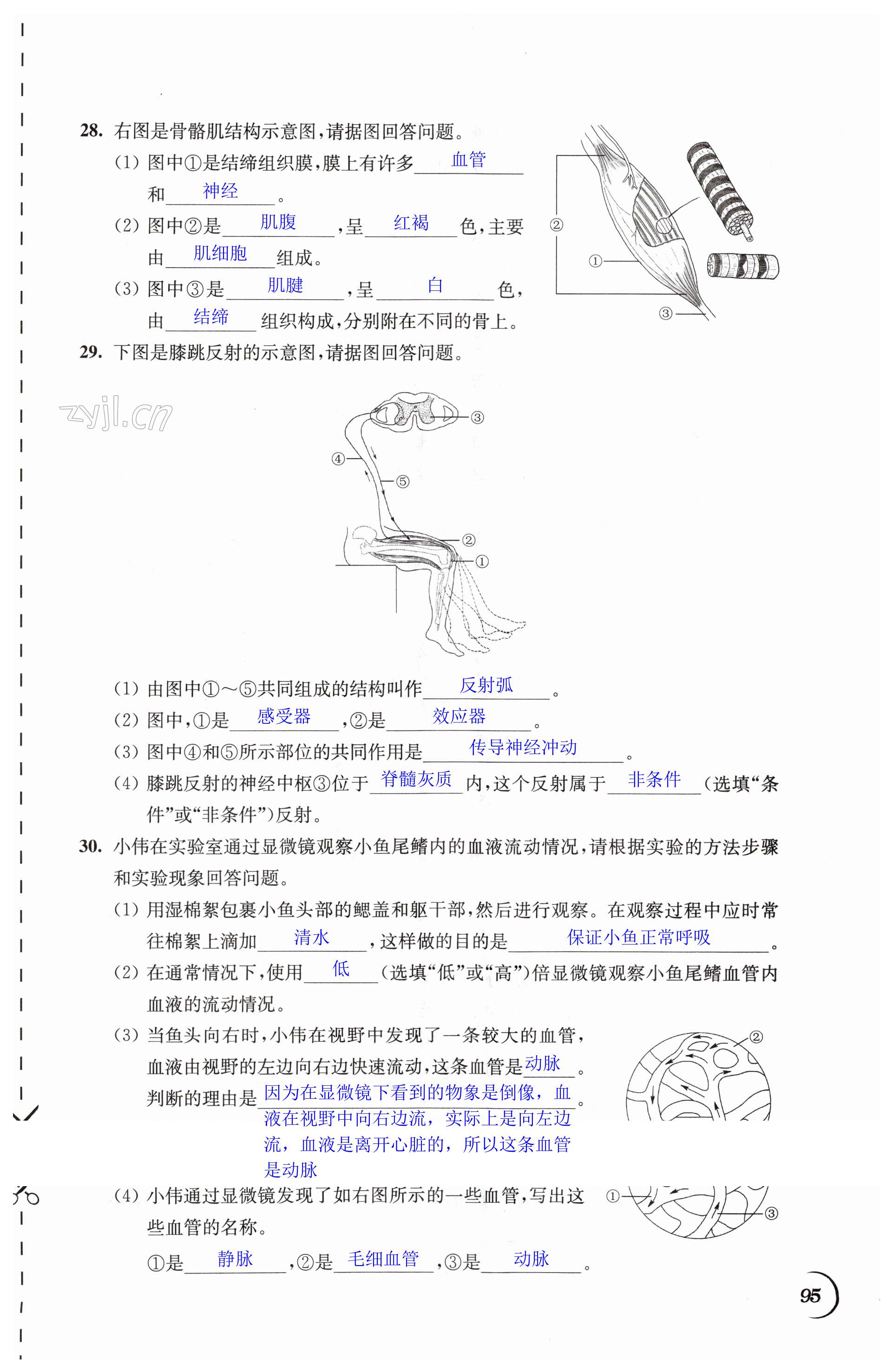 第95页