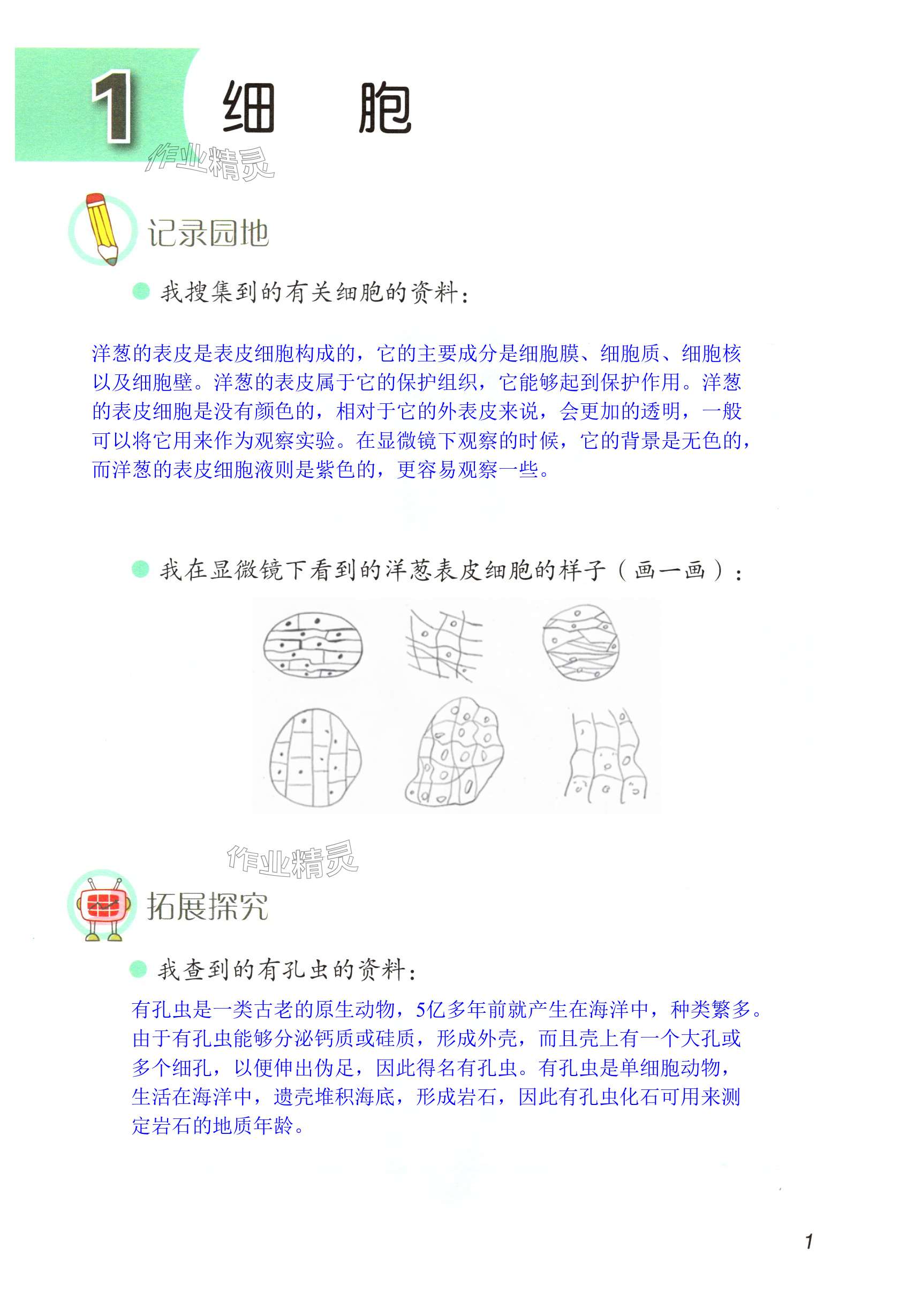 2024年學(xué)生活動(dòng)手冊(cè)六年級(jí)科學(xué)上冊(cè)青島版 第1頁(yè)