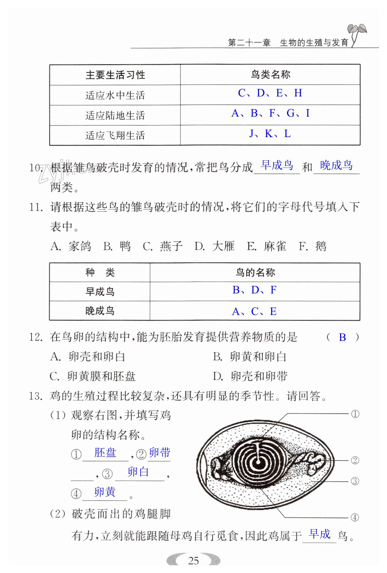 第25頁