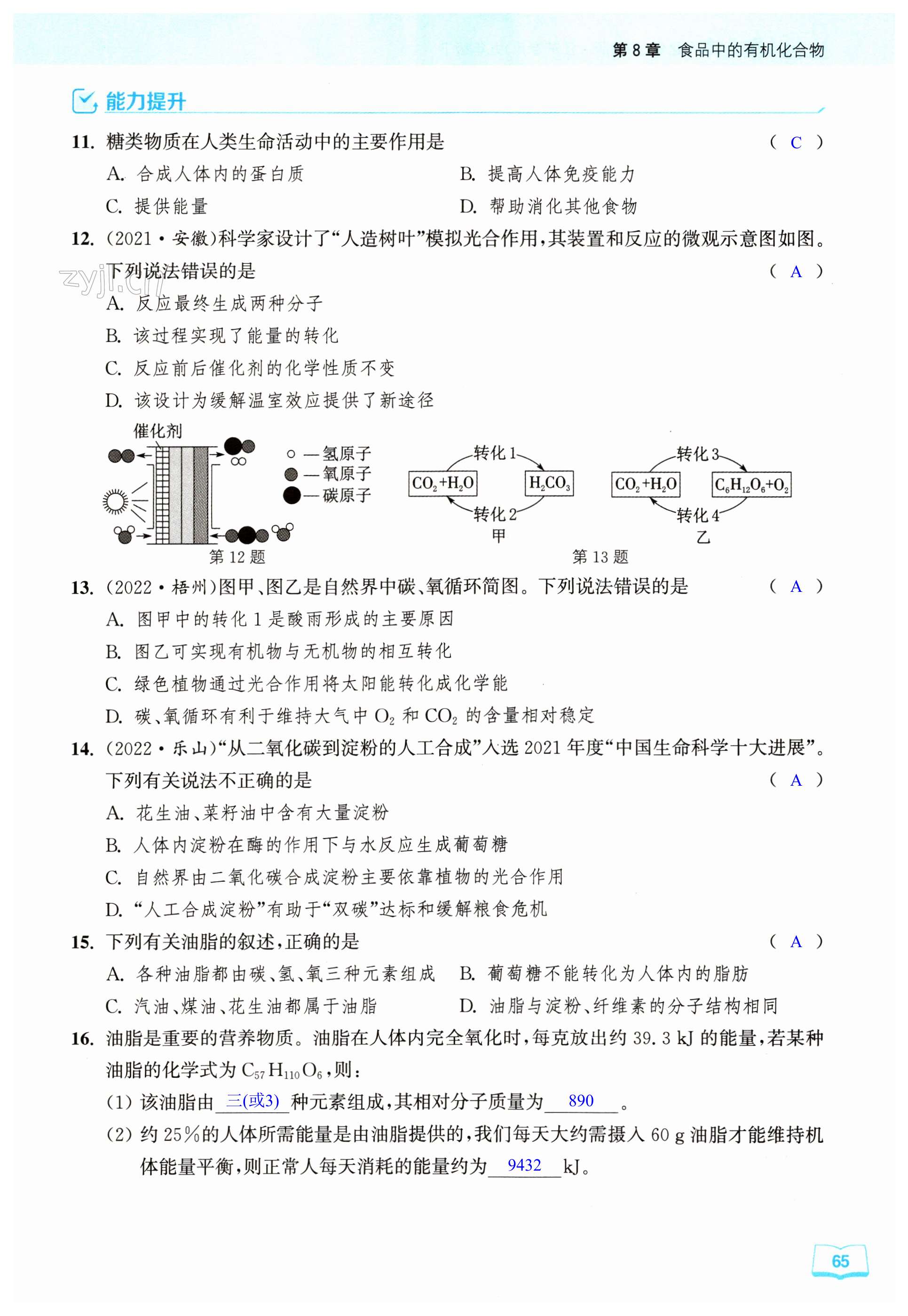 第65页