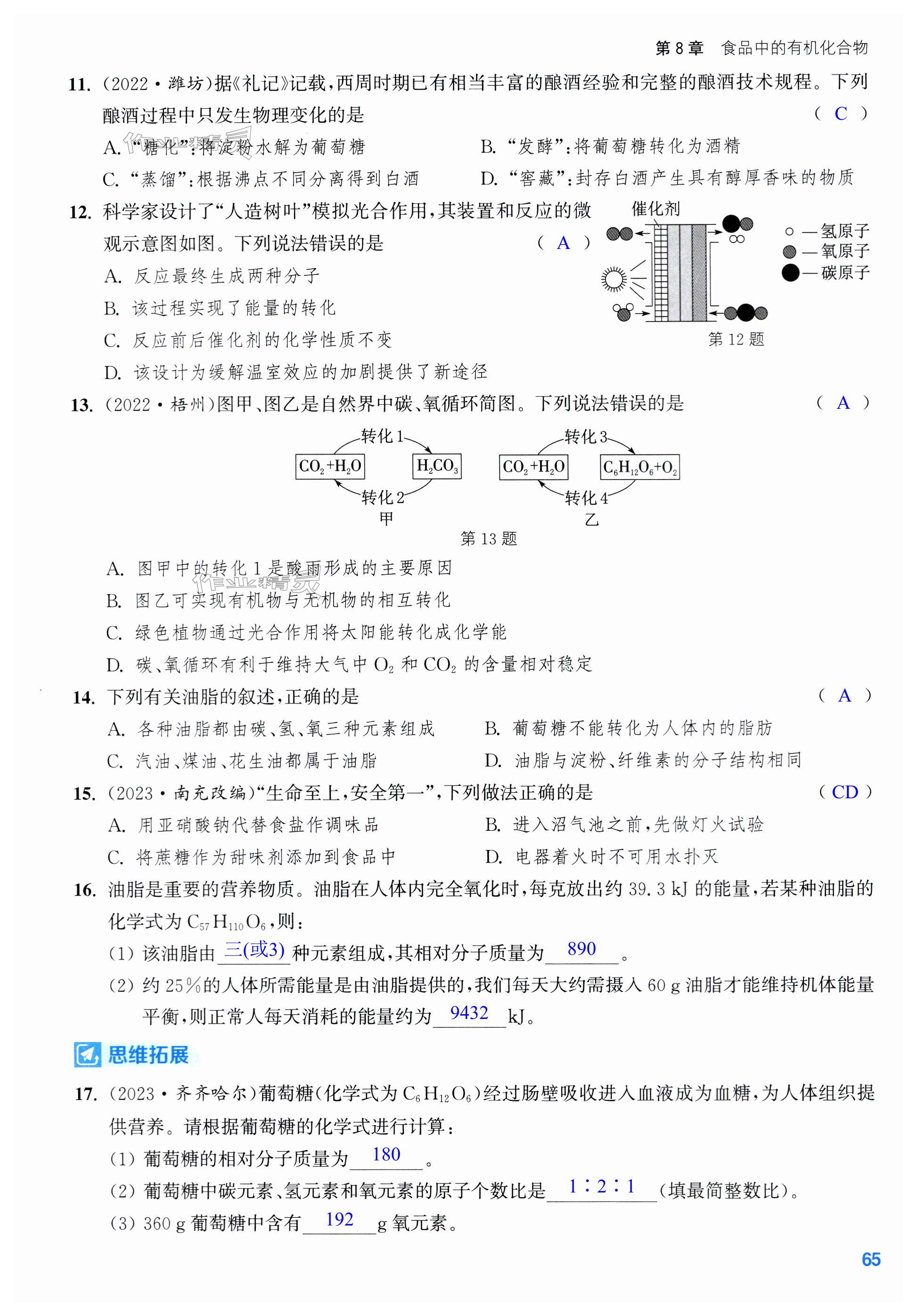 第65页