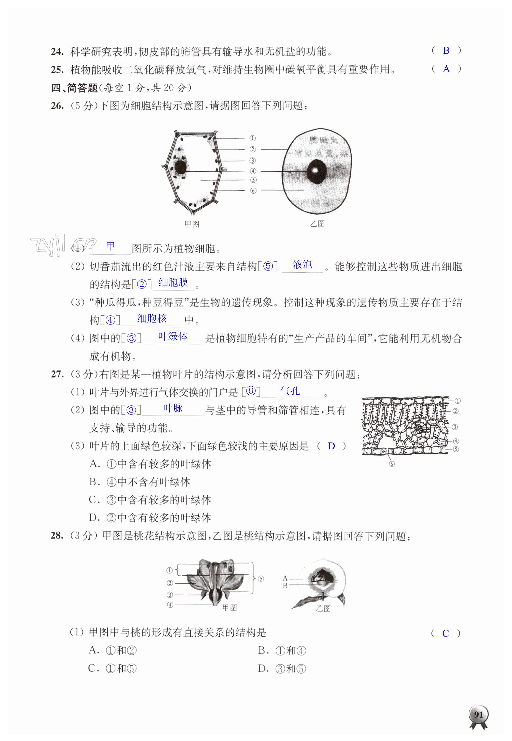 第91頁