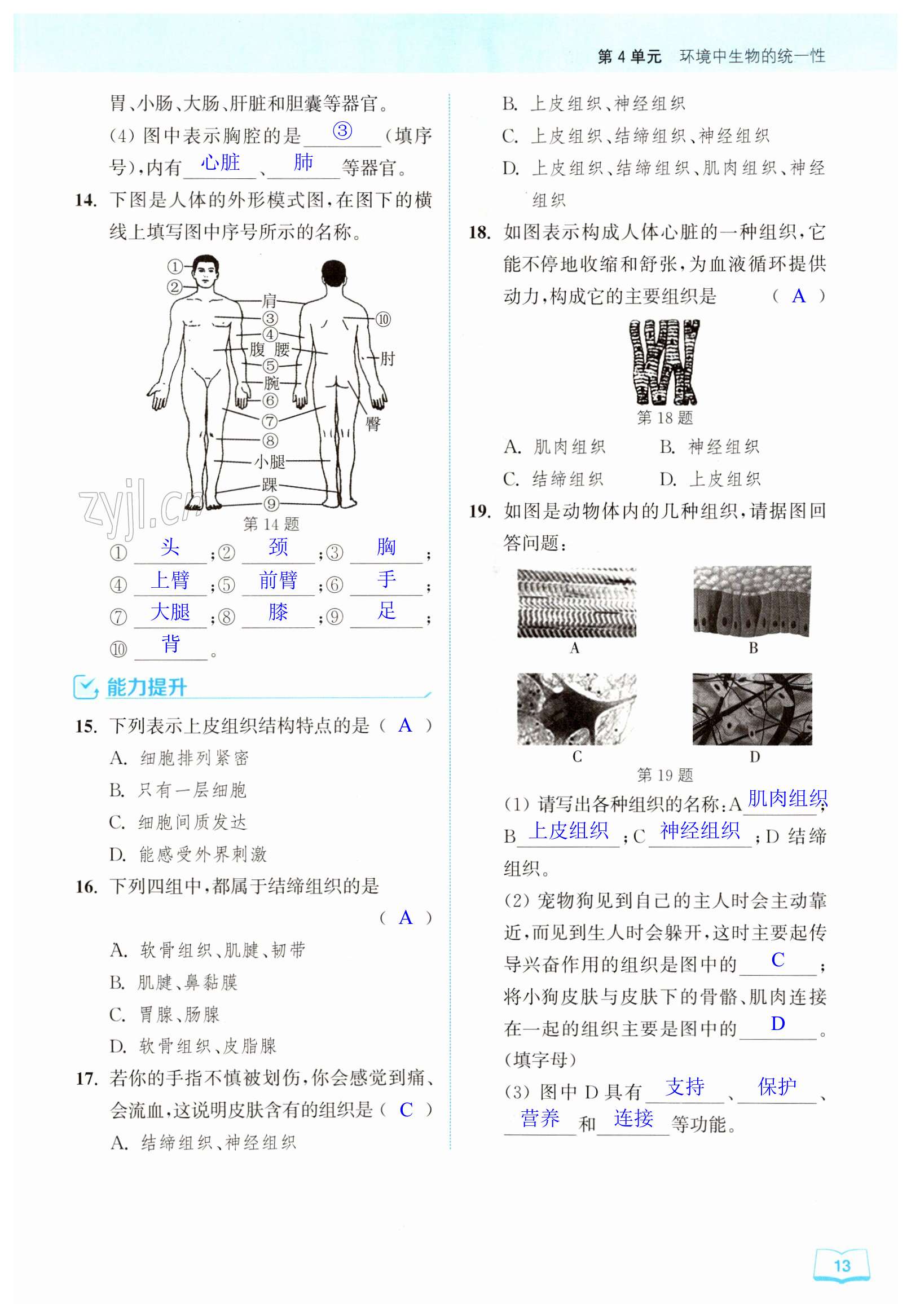 第13頁