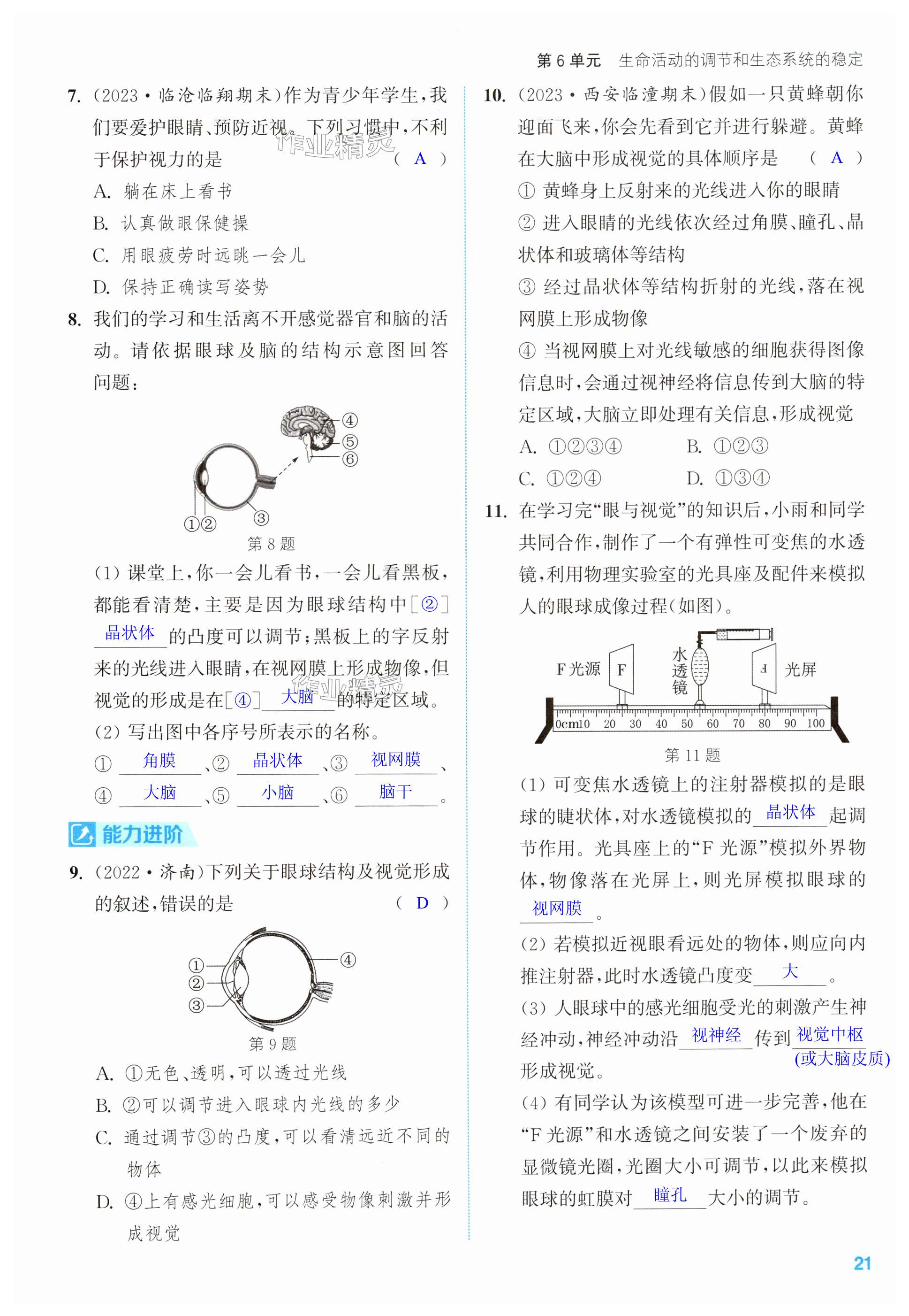 第21頁