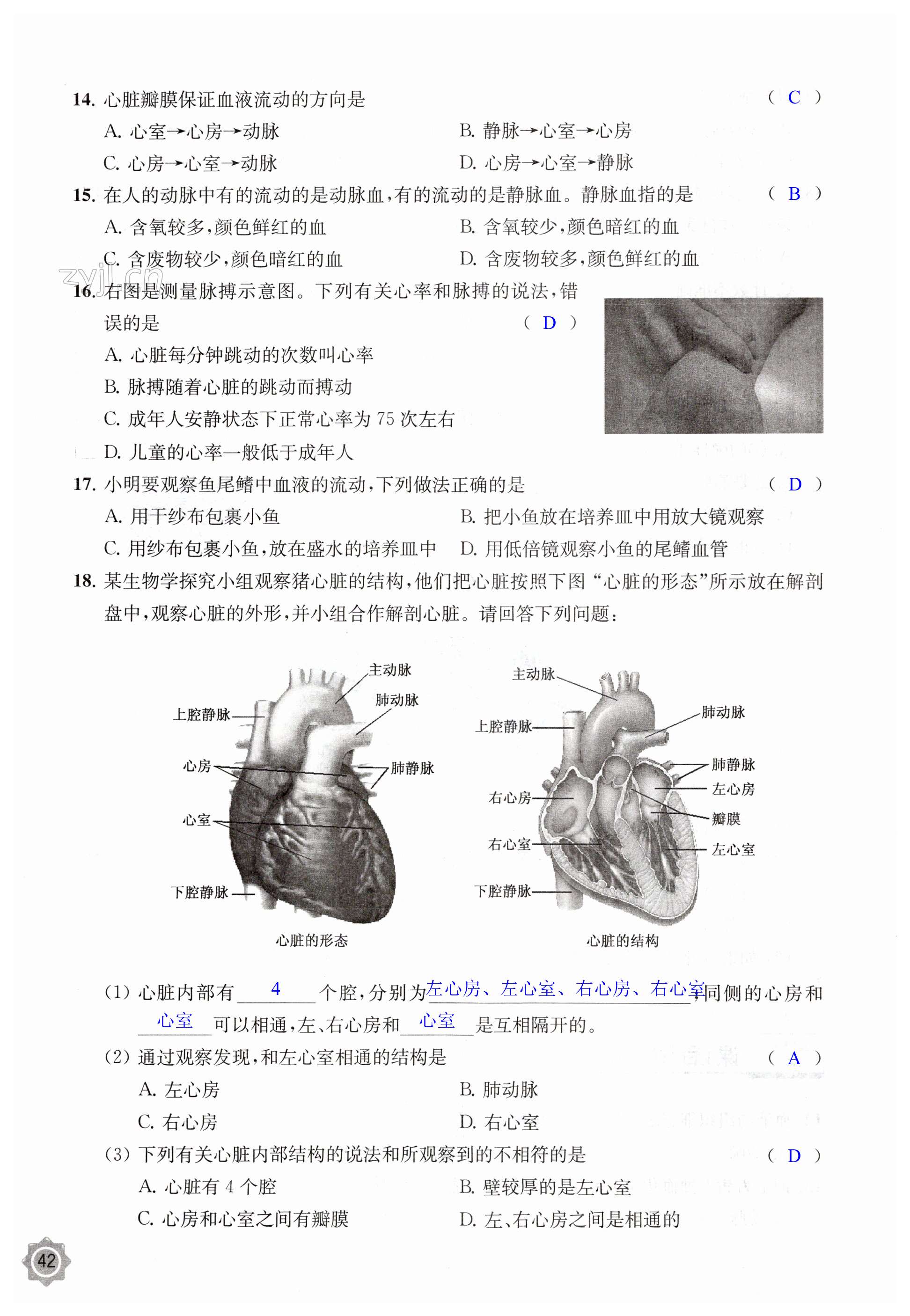 第42页