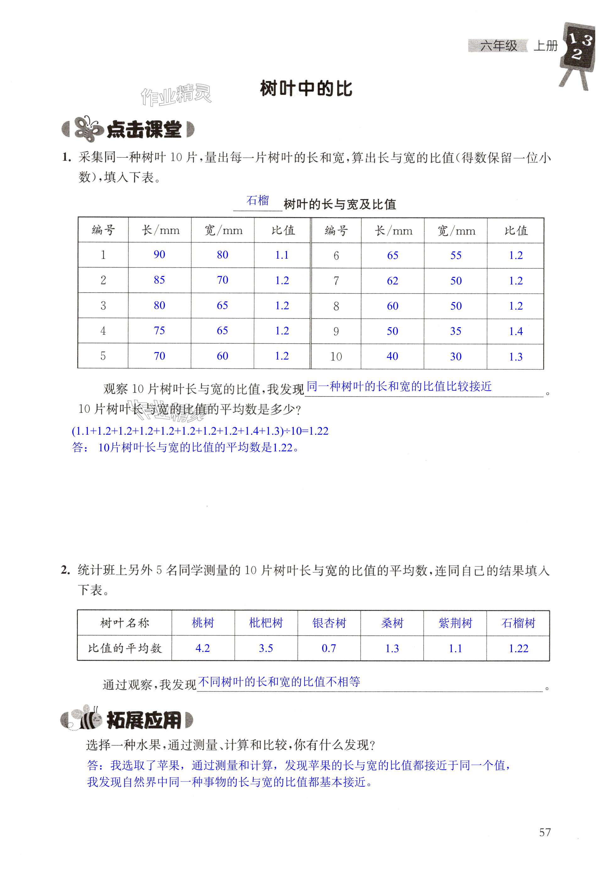 第57頁(yè)