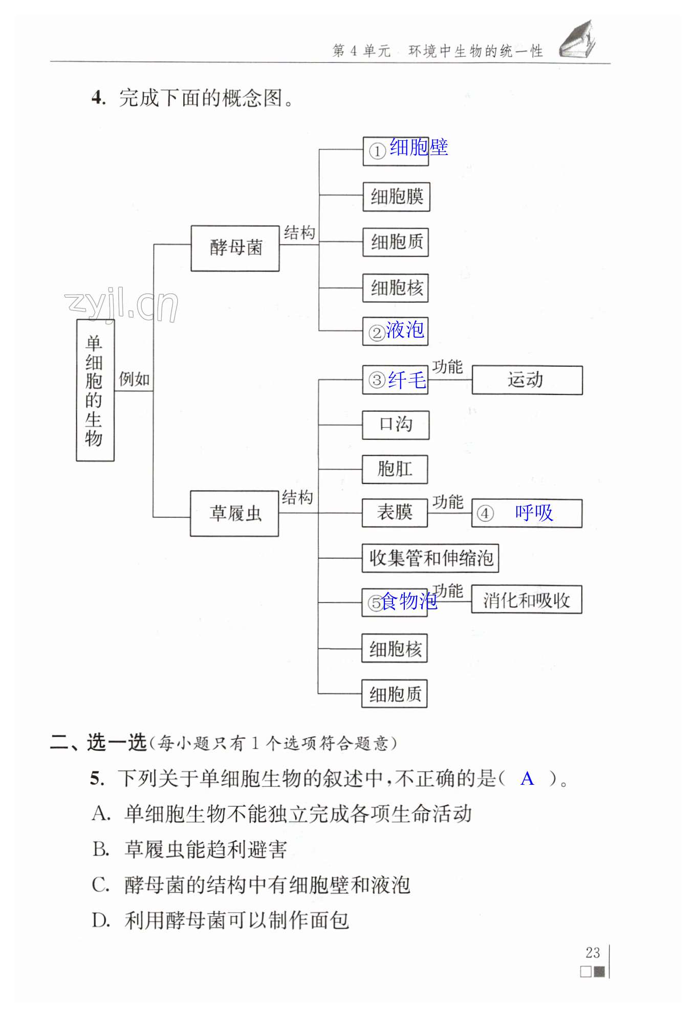 第23页