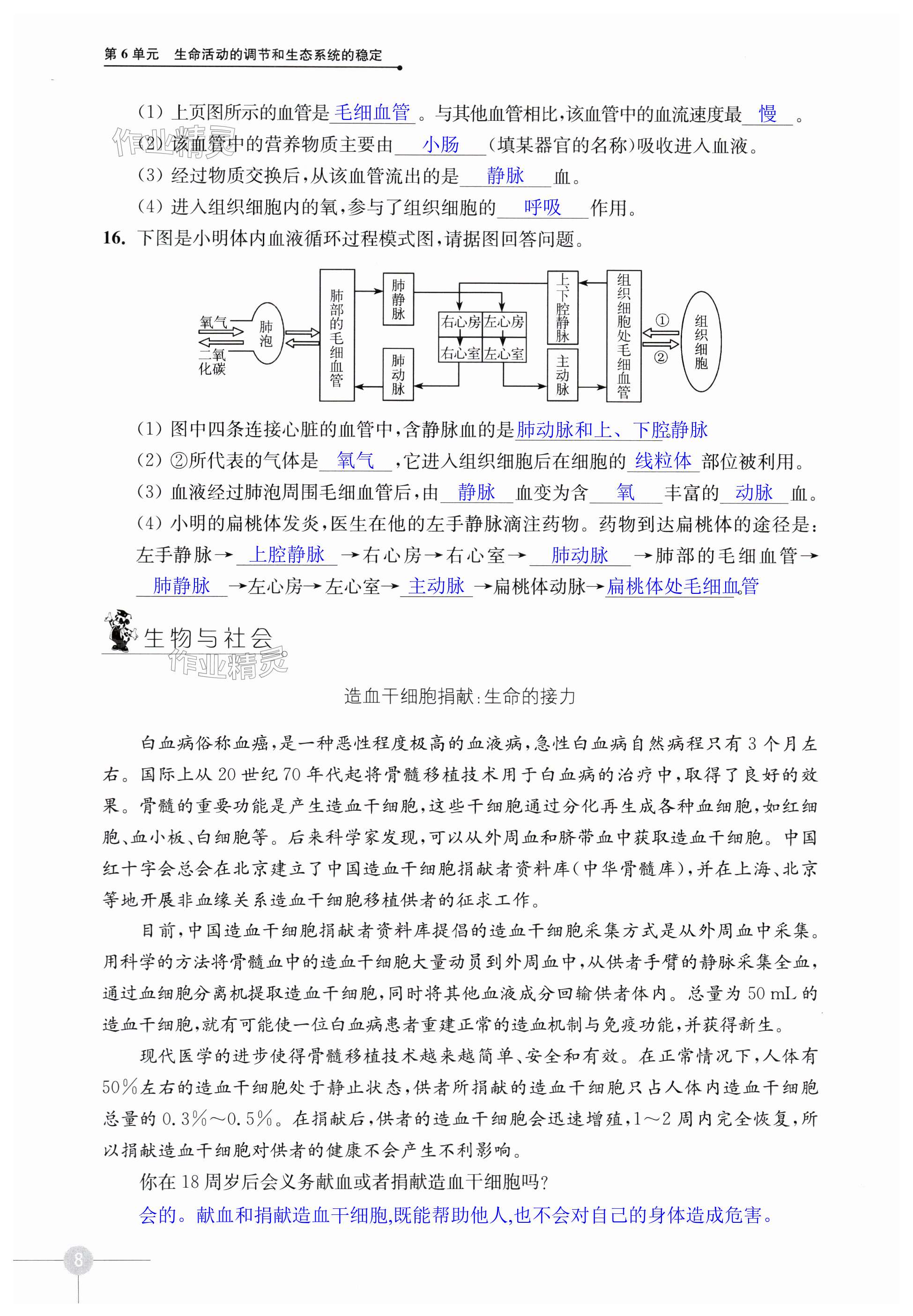 第8頁