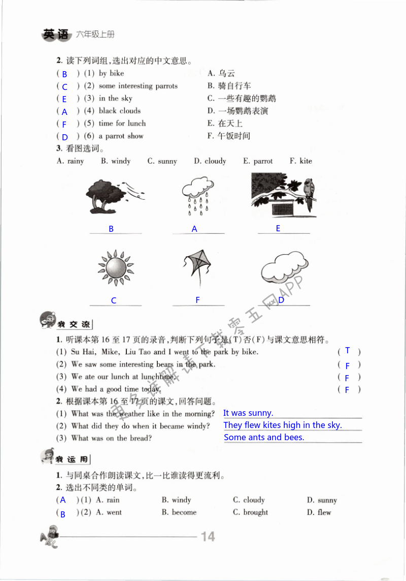 第14頁