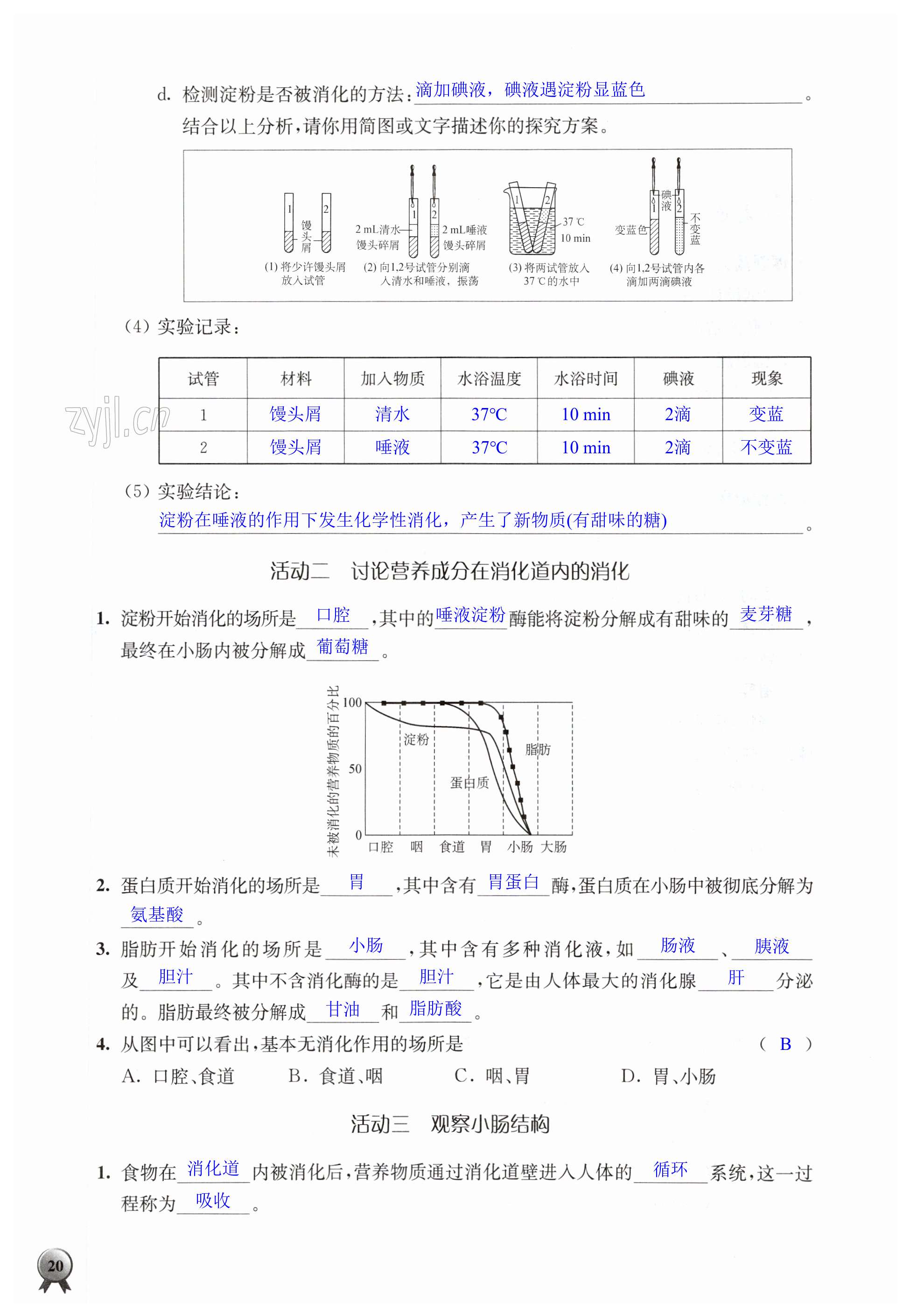 第20頁(yè)