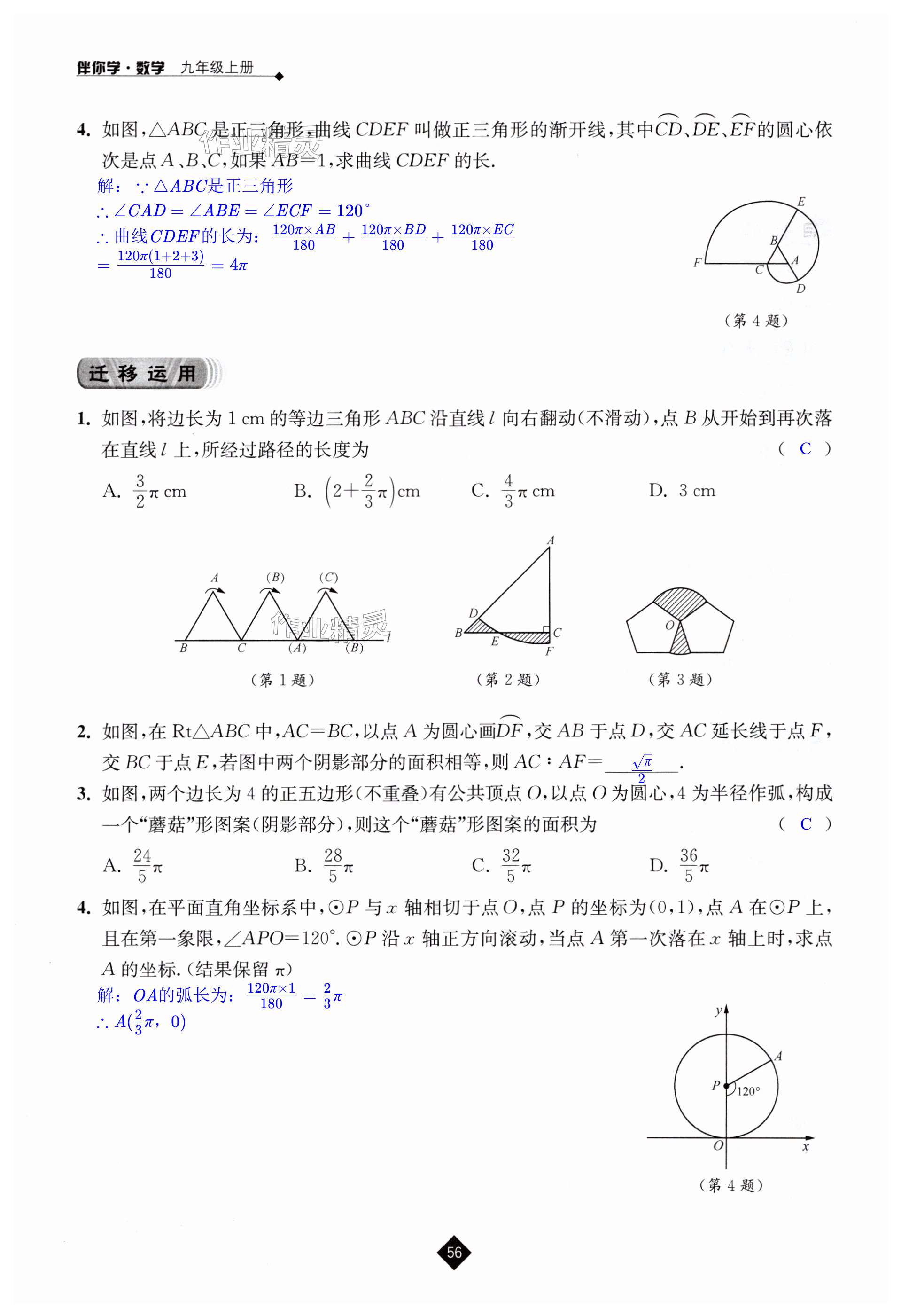 第56頁