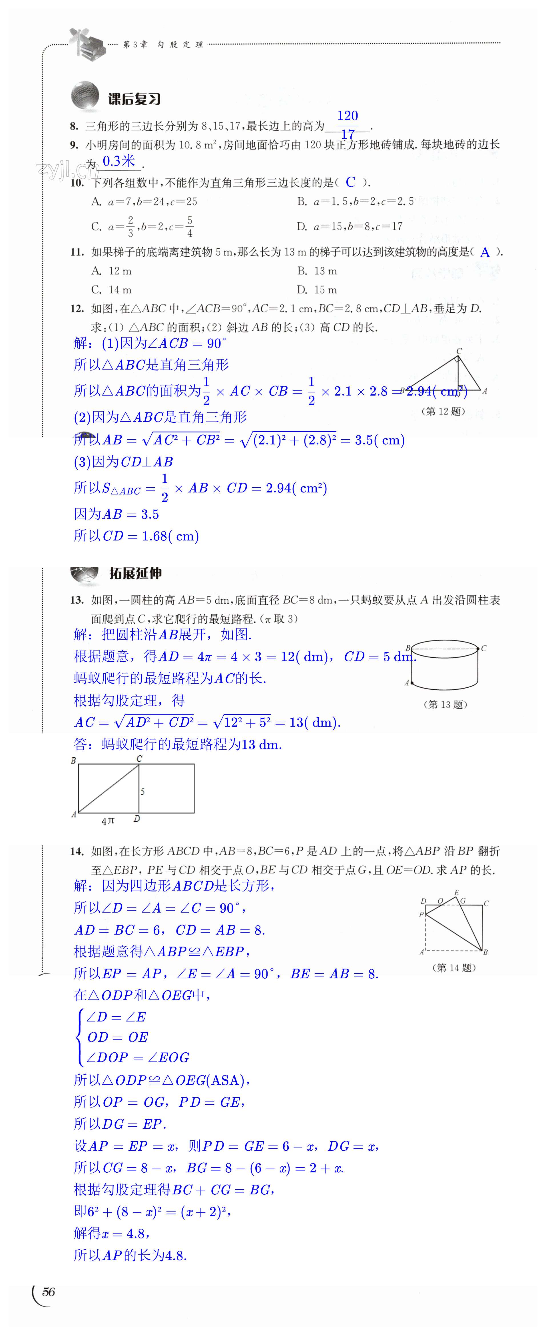 第56頁