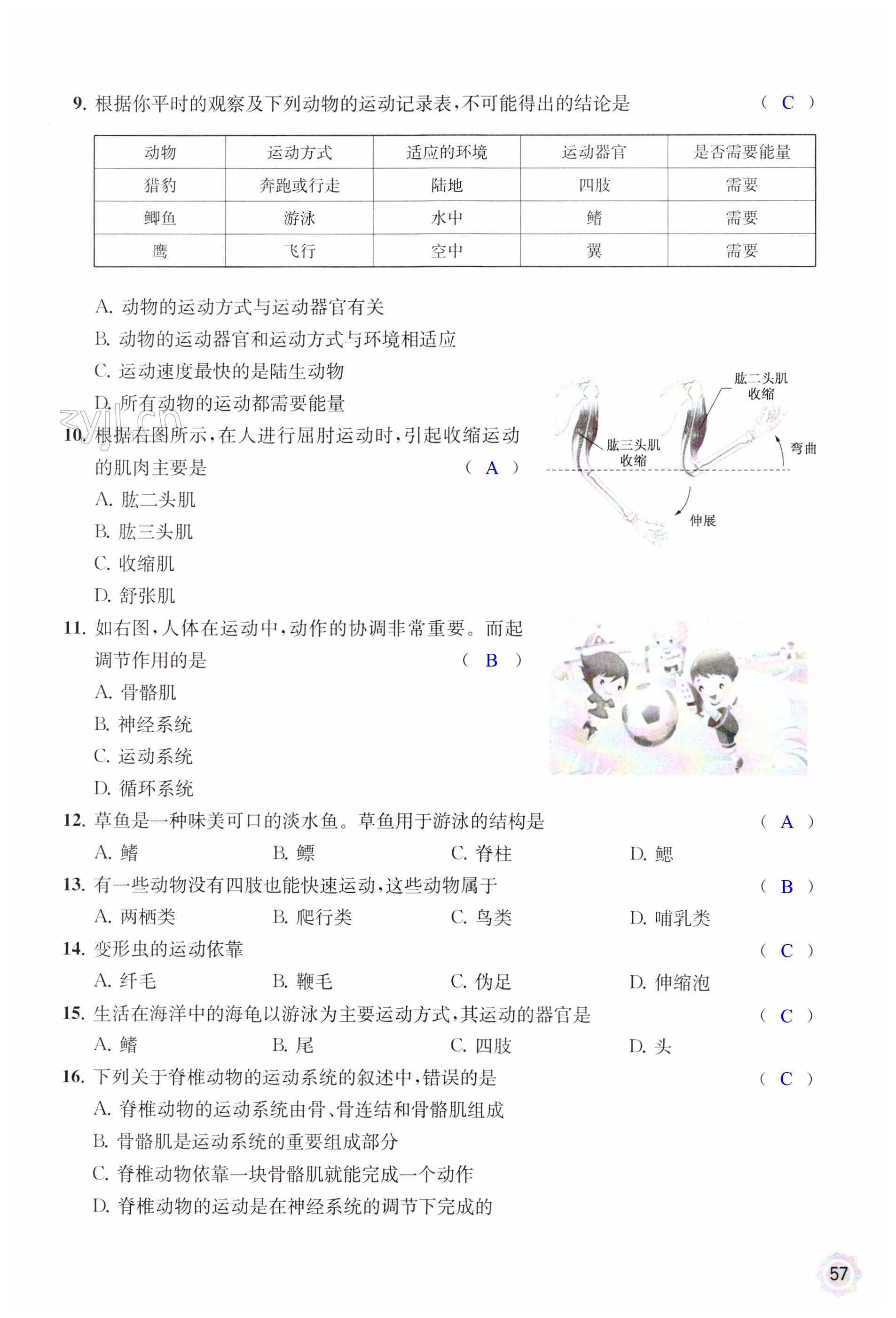 第57页