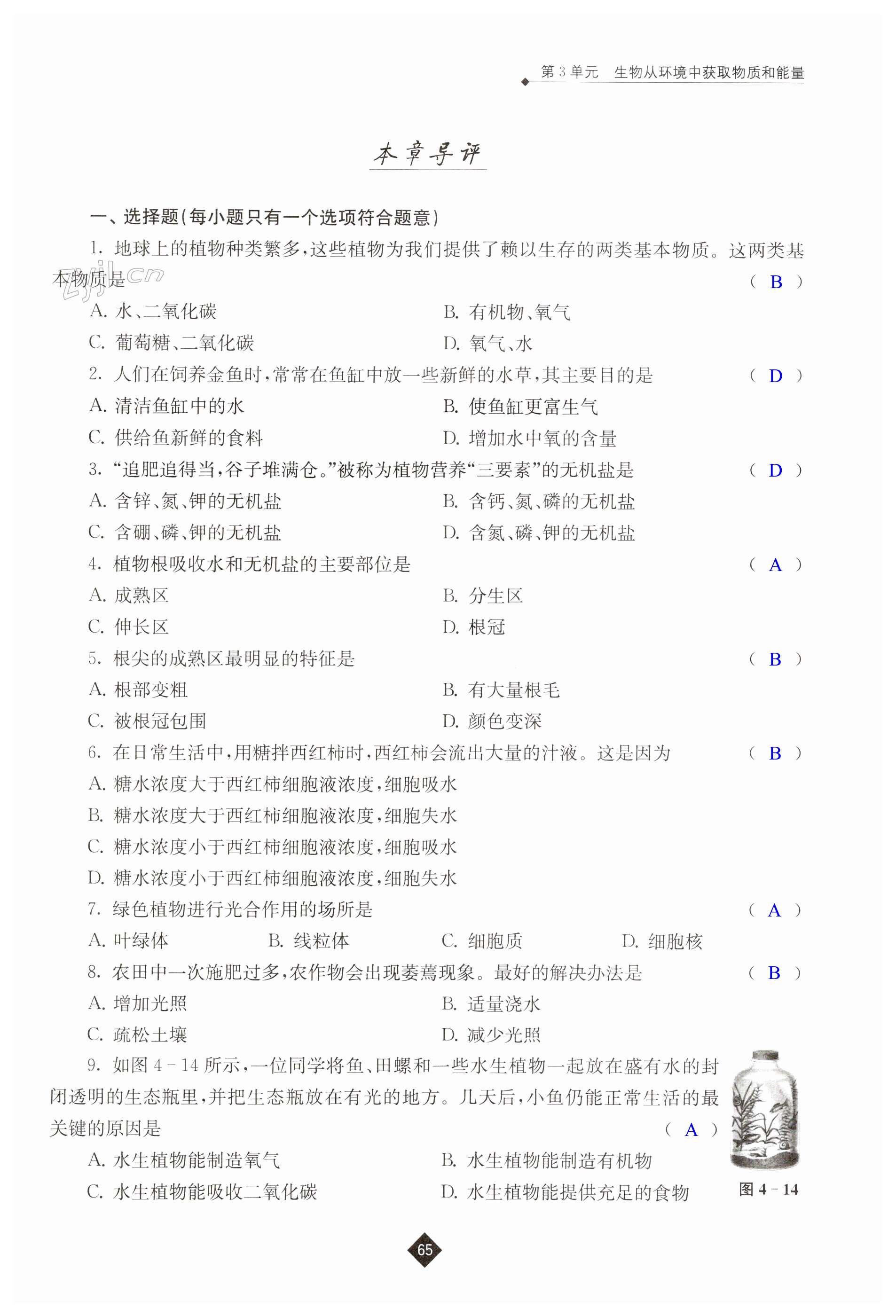 第65页